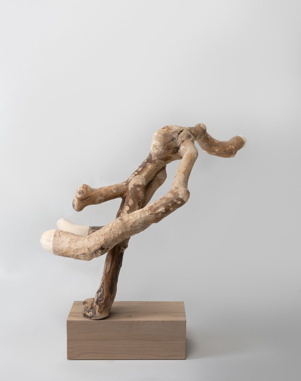 Photo by Chikako Harada