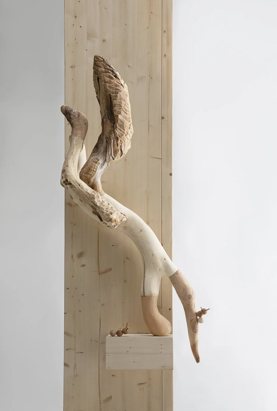 Photo by Chikako Harada