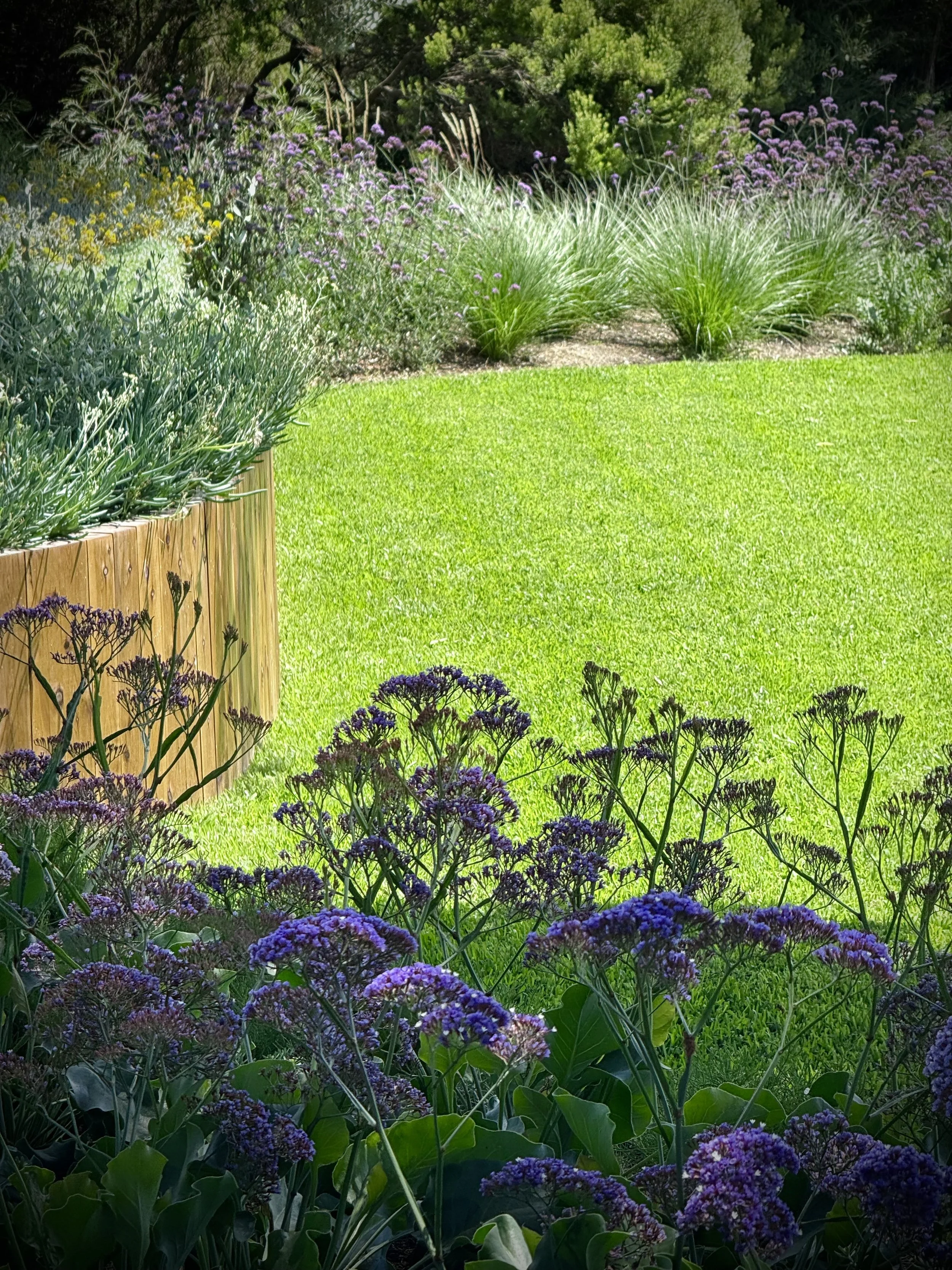 FullSizeRender 3.jpeg