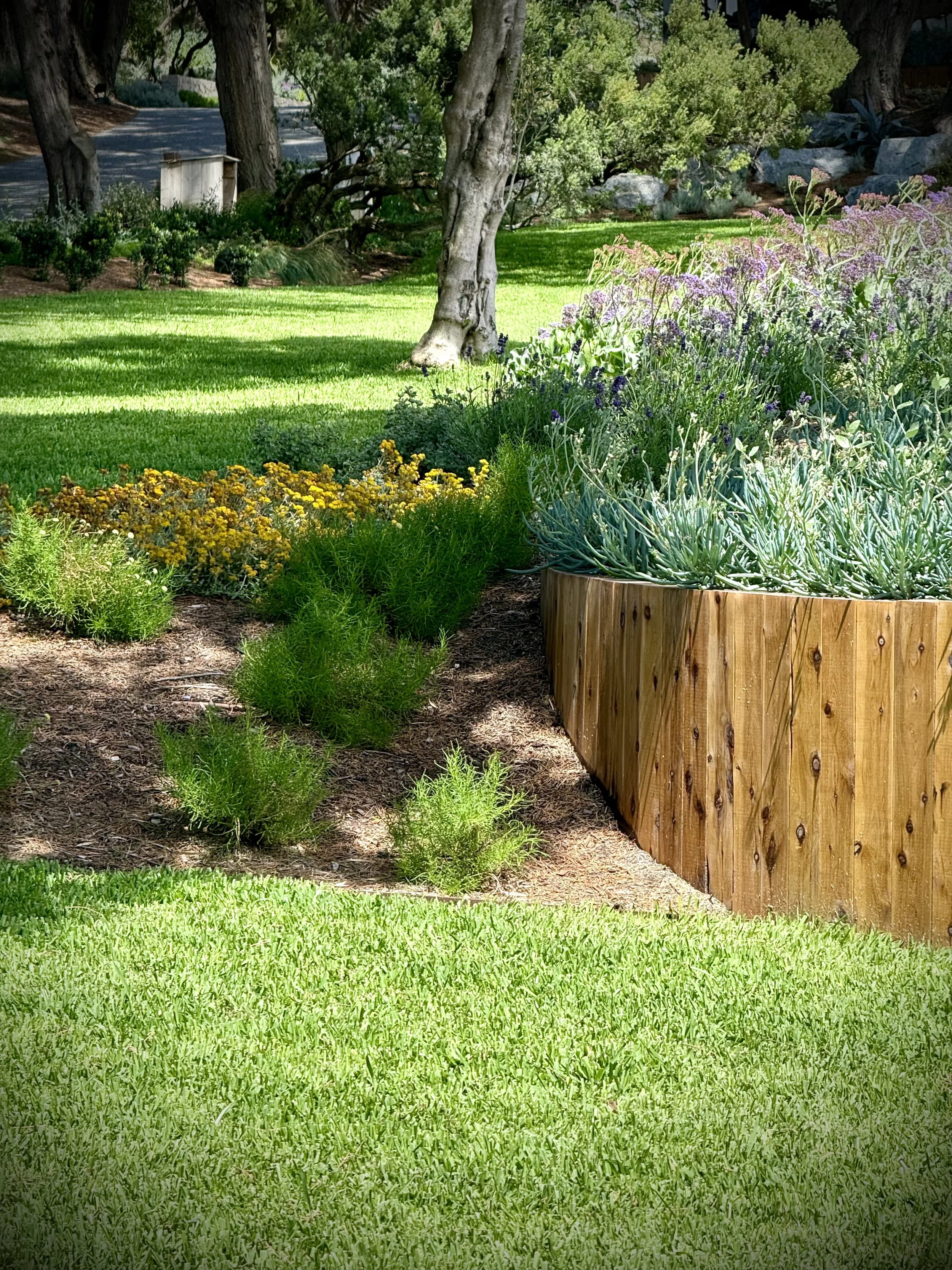 FullSizeRender 2.jpeg