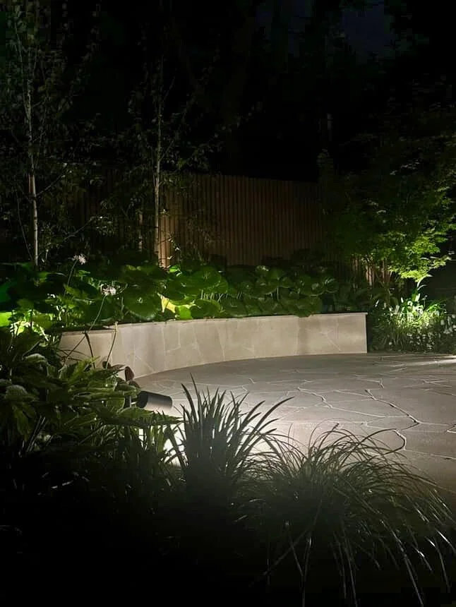 0DEB6DF3-4538-4C04-B1A5-5BF771BEECB0 2.jpeg