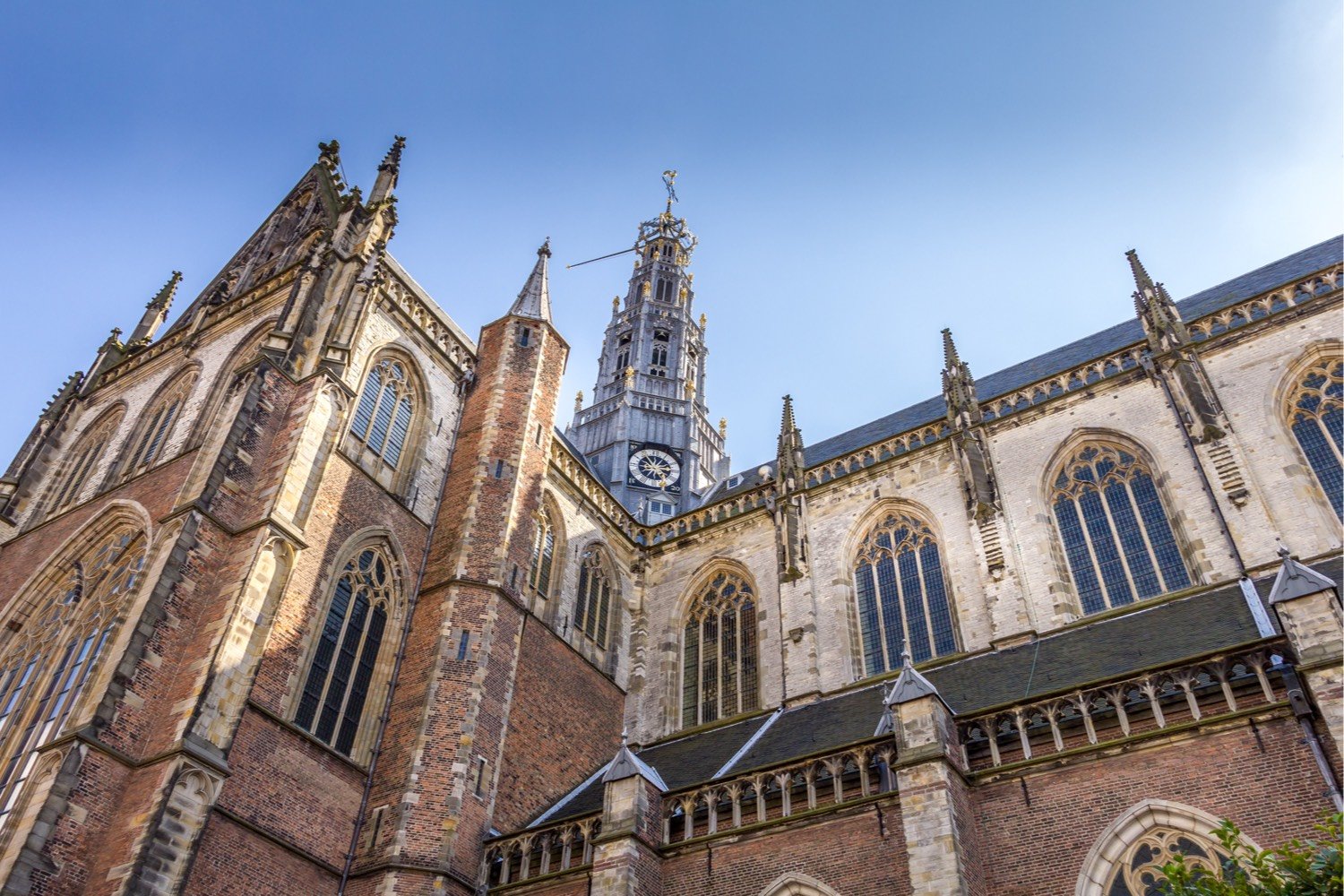 Vernieuwd stappenplan Wzd