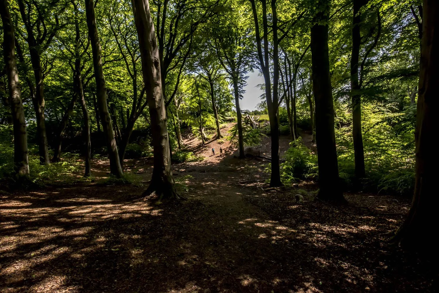 How Therapy can Help: Finding your way in the dark