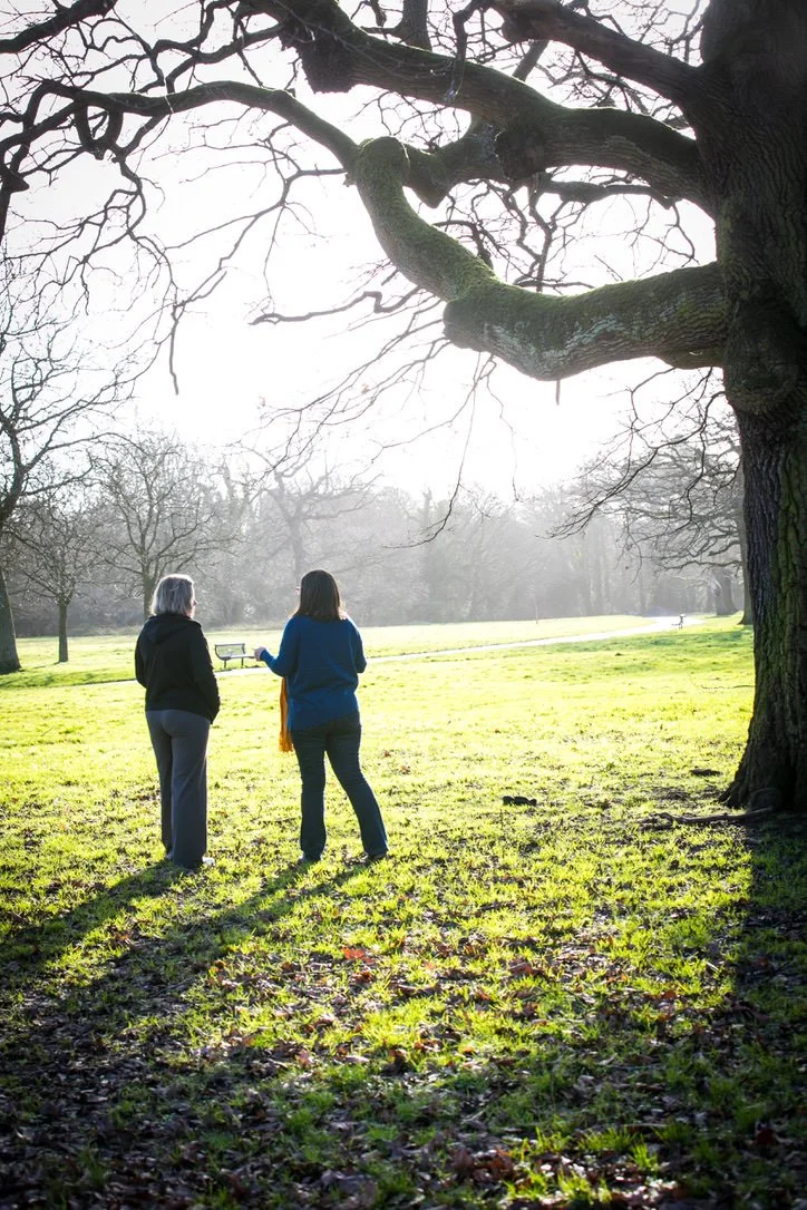 Two women talking in a park with leafless trees, the sun shining behind them, and a large tree branch arching overhead.