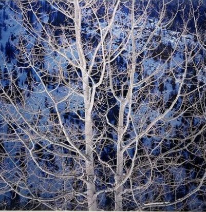 Glowing Winter, Aspen