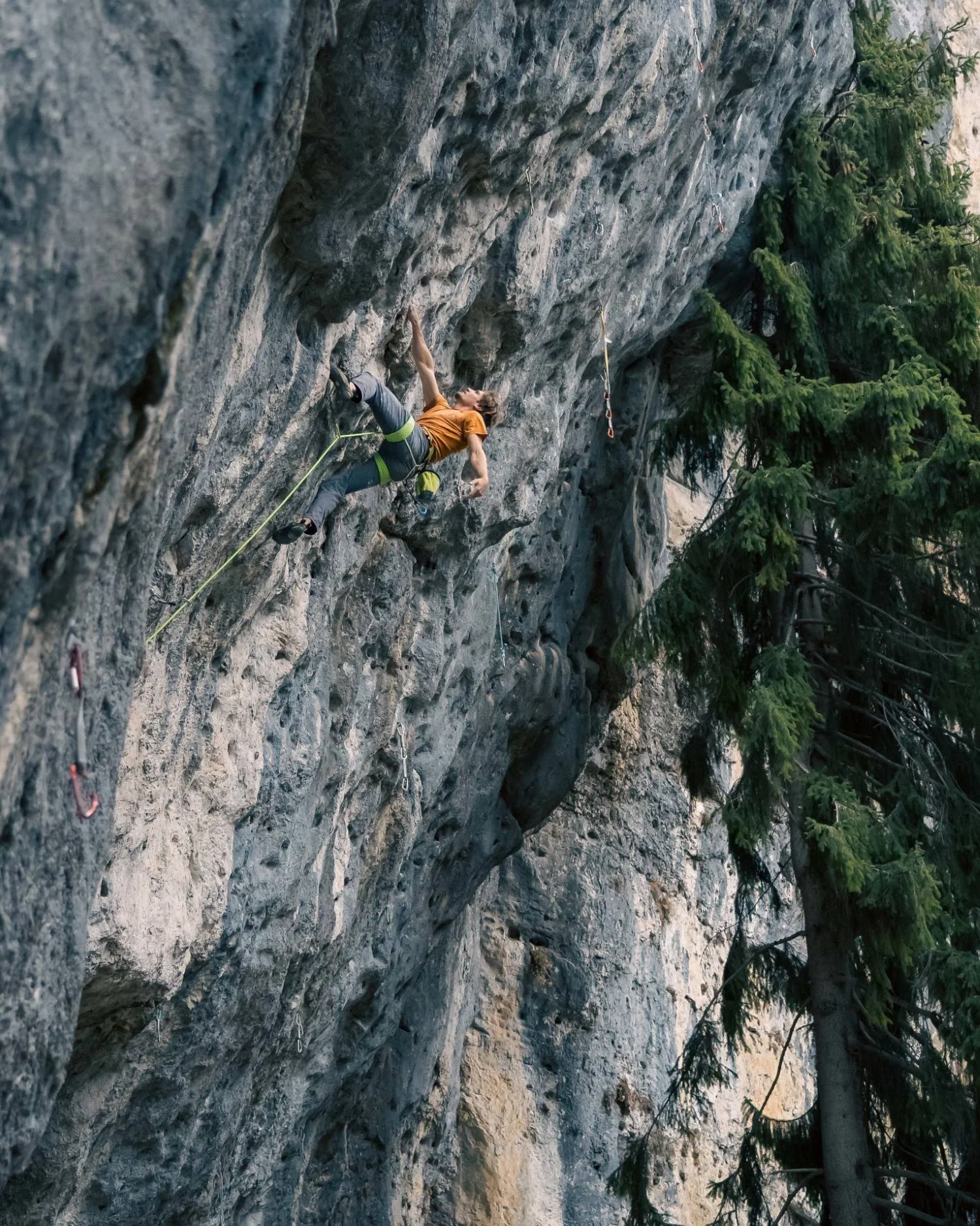 IMG_0466 (Benutzerdefiniert).JPG