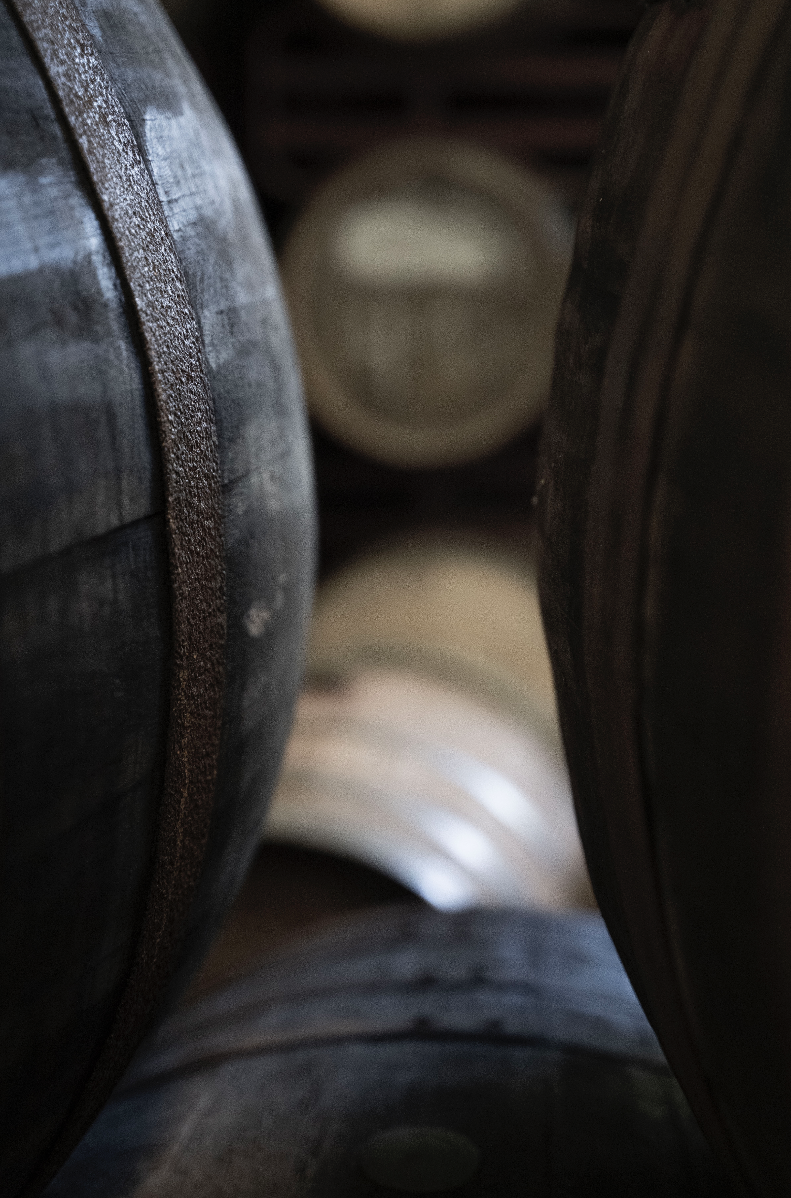 Close-up of port wine barrels stored in a cellar, showing the curved wooden surfaces and metal bands.
