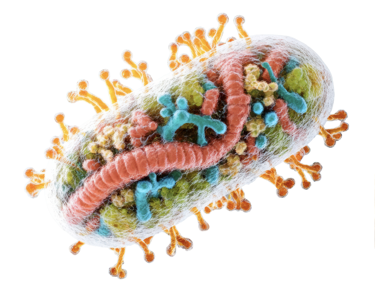 December 2025 Newsletter