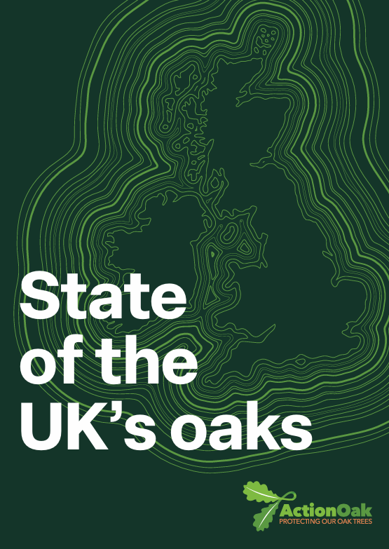 The State of the UK’s Oaks Report is launched