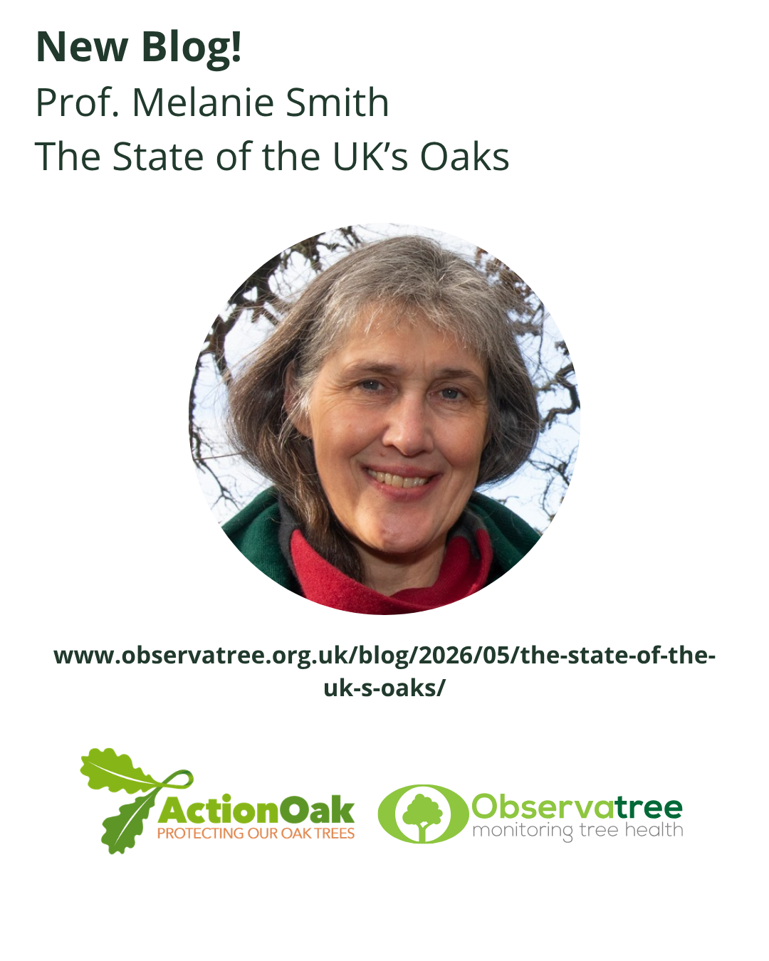NTW 2025 Observatree + Action Oak blog (Melanie).png