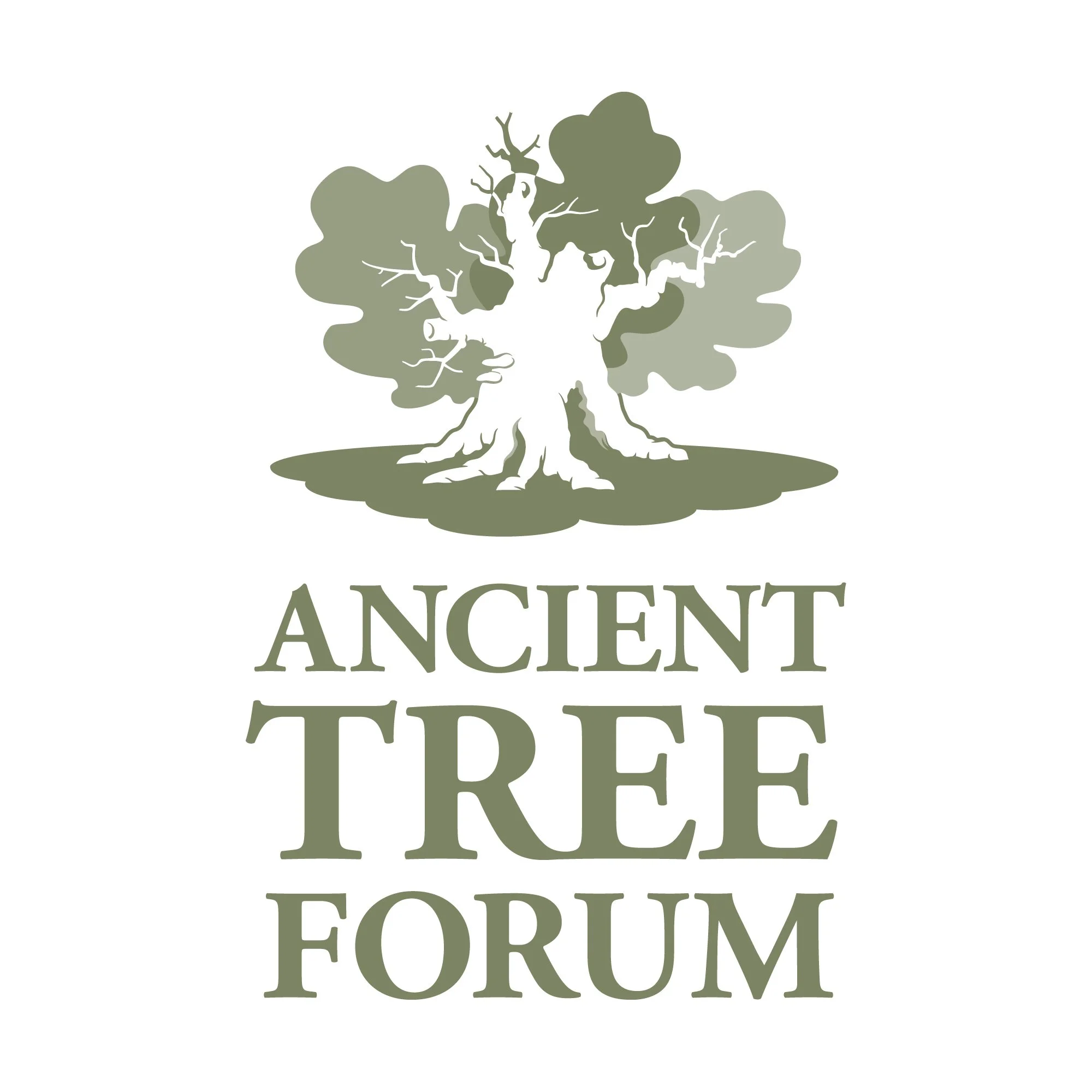 Ancient Tree Forum_sq_logo_web.jpg