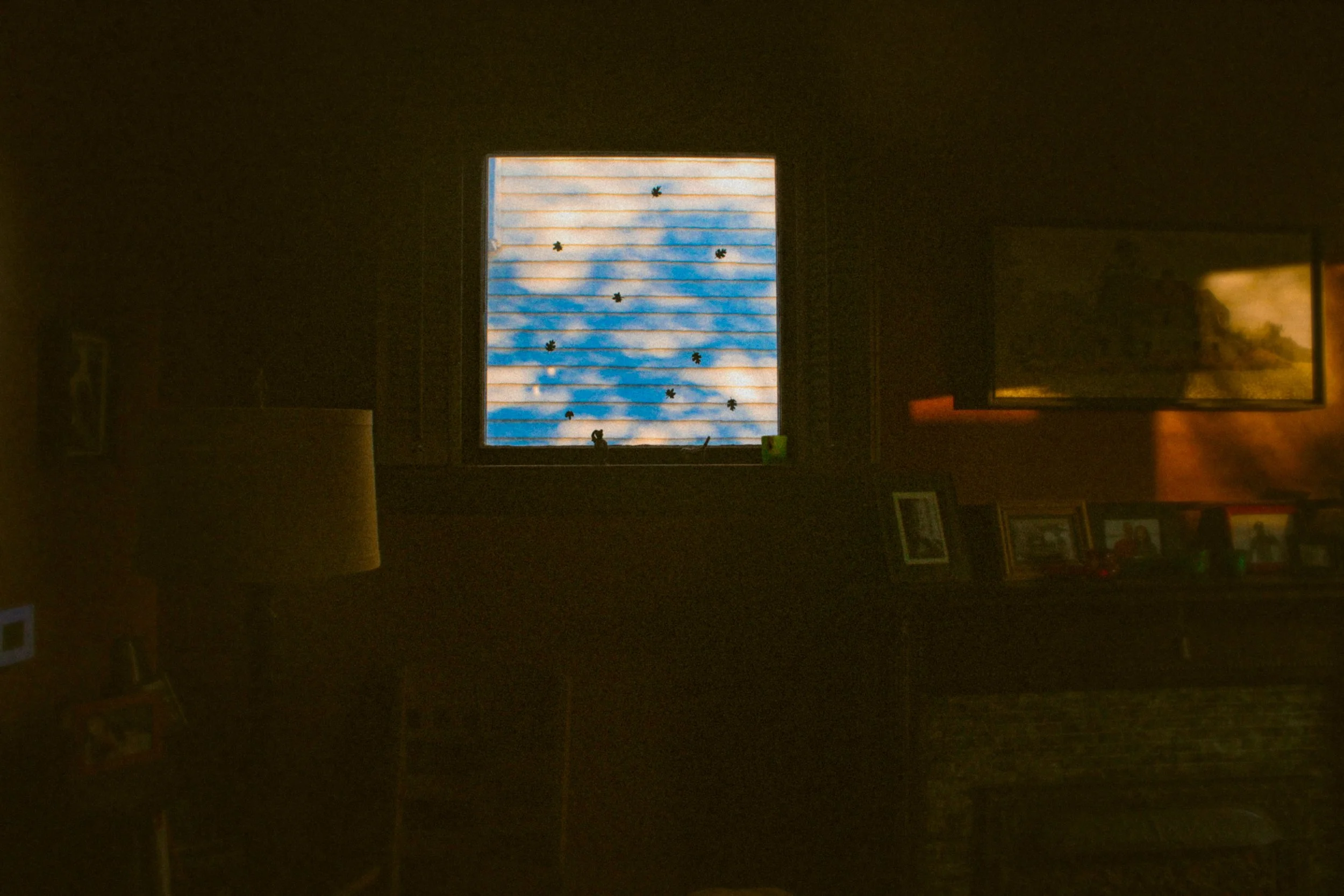 BE6259CF-5CC2-47B0-9F02-2646F9465DA6.jpeg