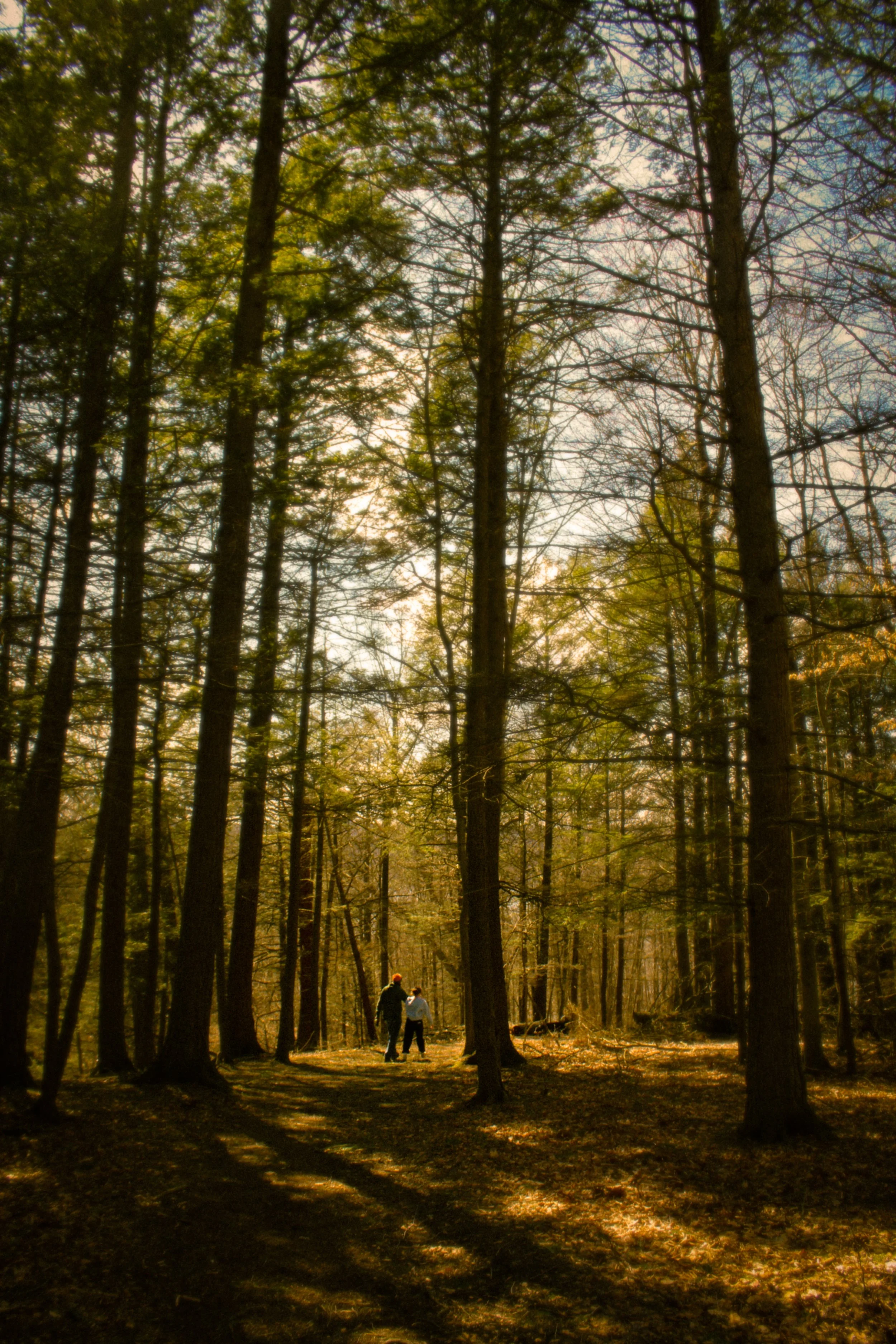 C8846E15-767A-4D9C-93AC-F1F04F3C4190.jpeg