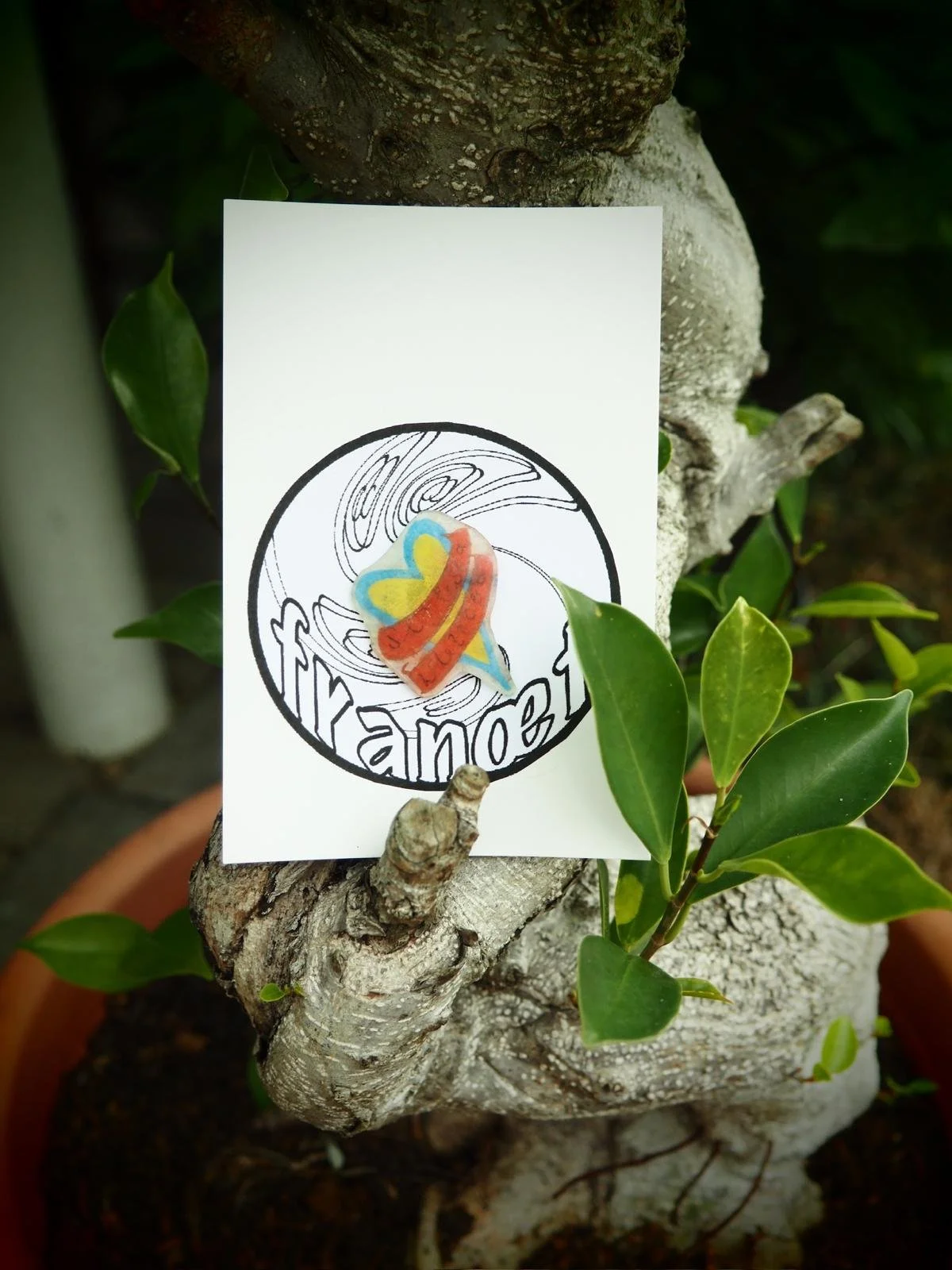 PIN - Serbska wutroba