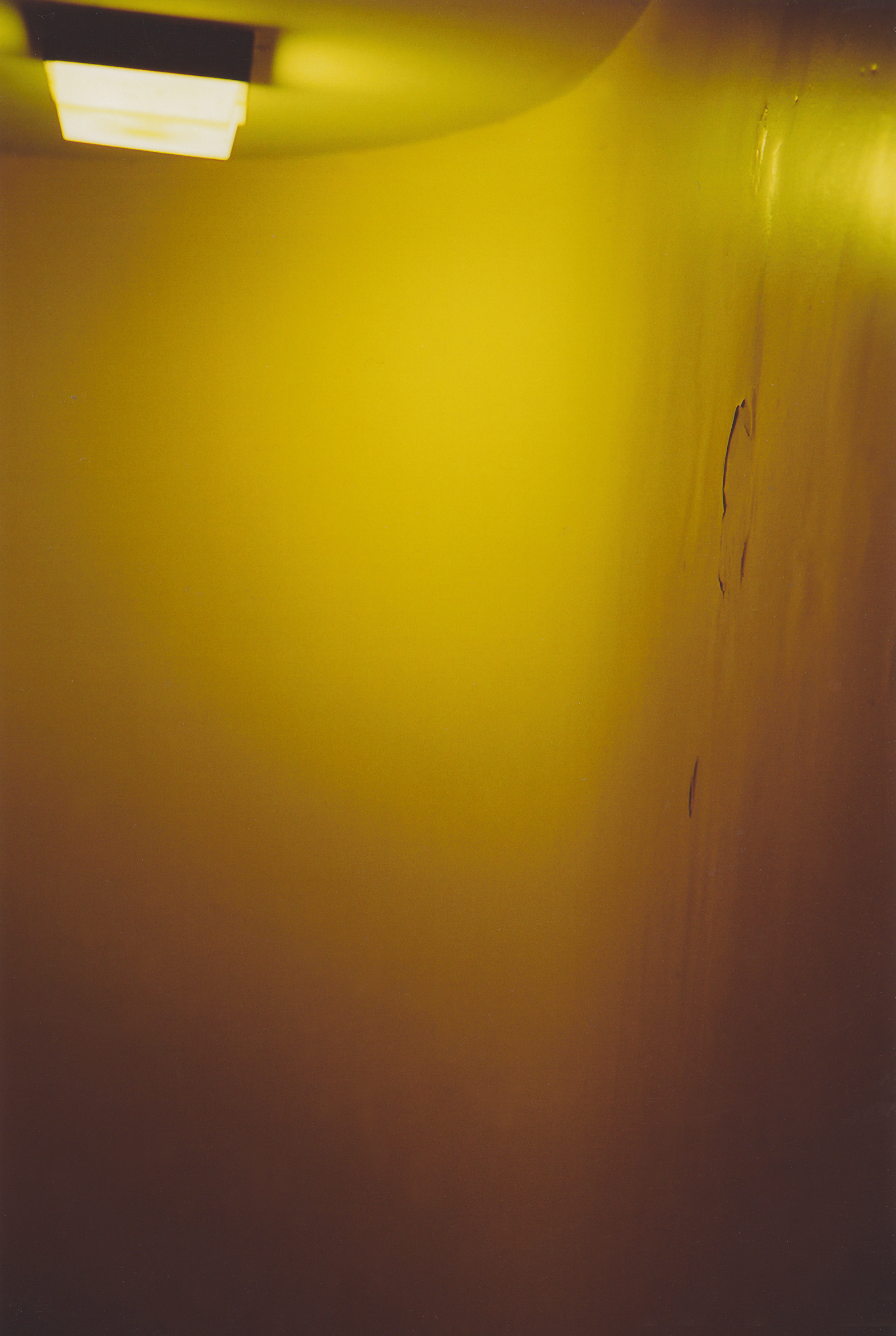 SheridanClose_TheCello_35mmPhotographicSeries_SizePricesVariable.jpg.png