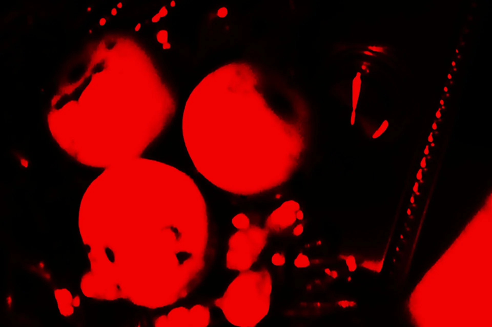 track9.jpg
