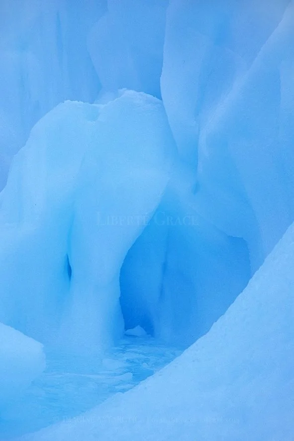 Imagine Antarctica | Randwick Children's Hospital