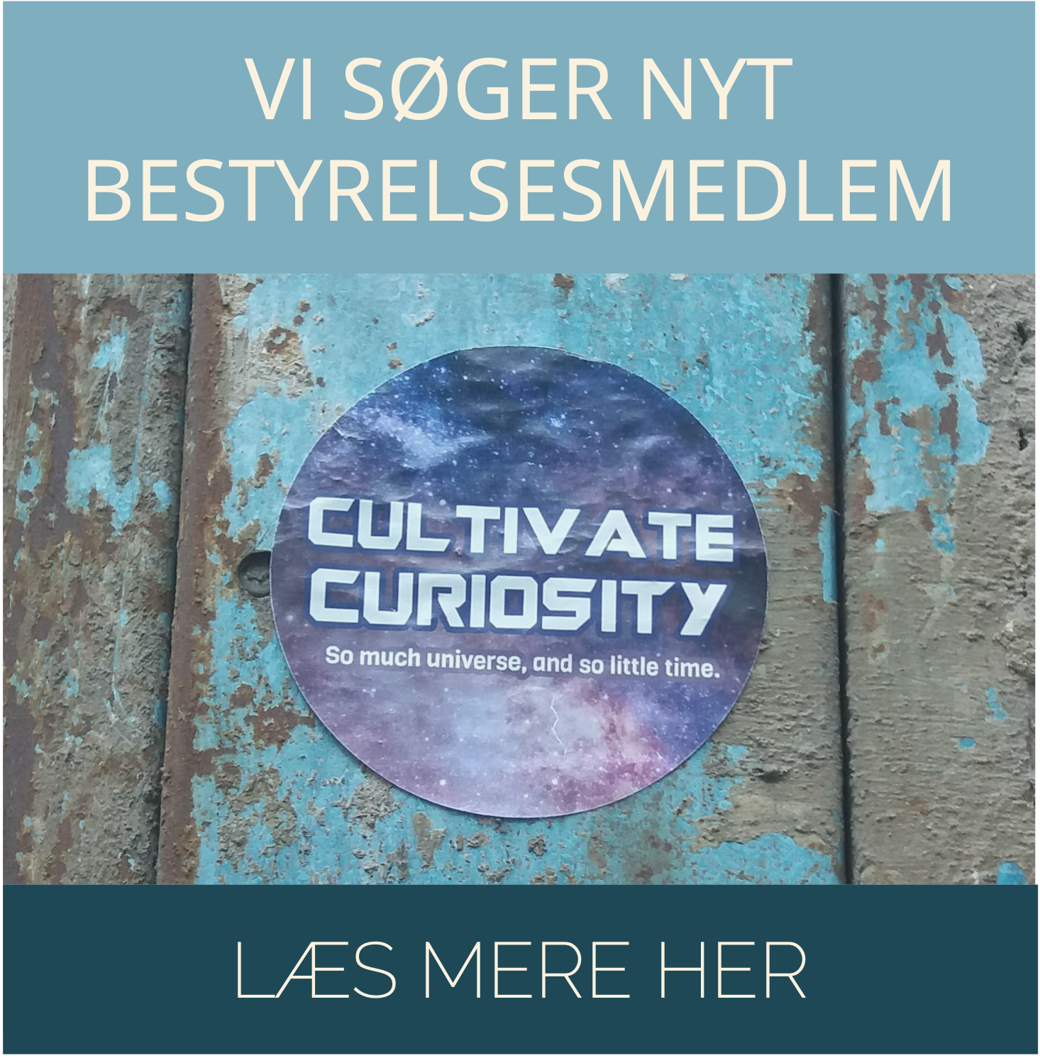 Karussel nyt bestyr medlem.png