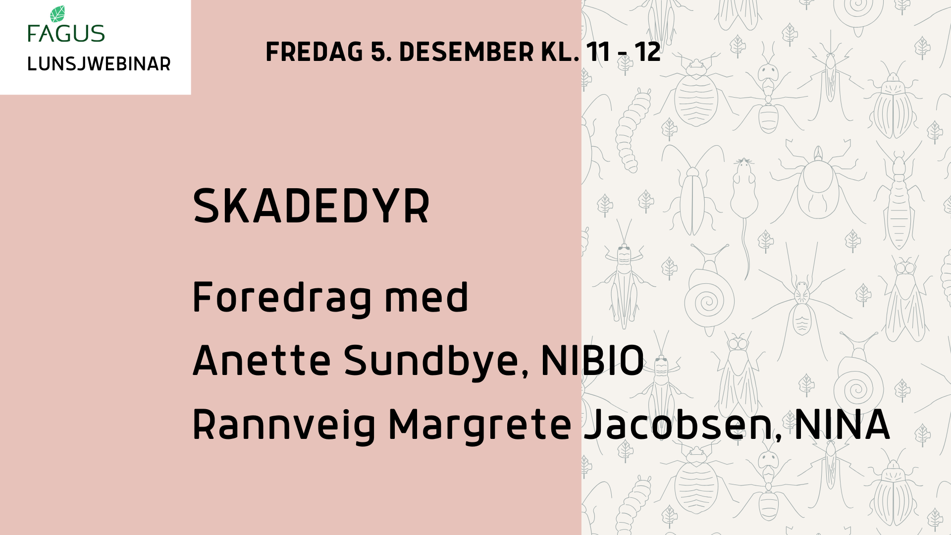 Lunsjwebinar om skadedyr