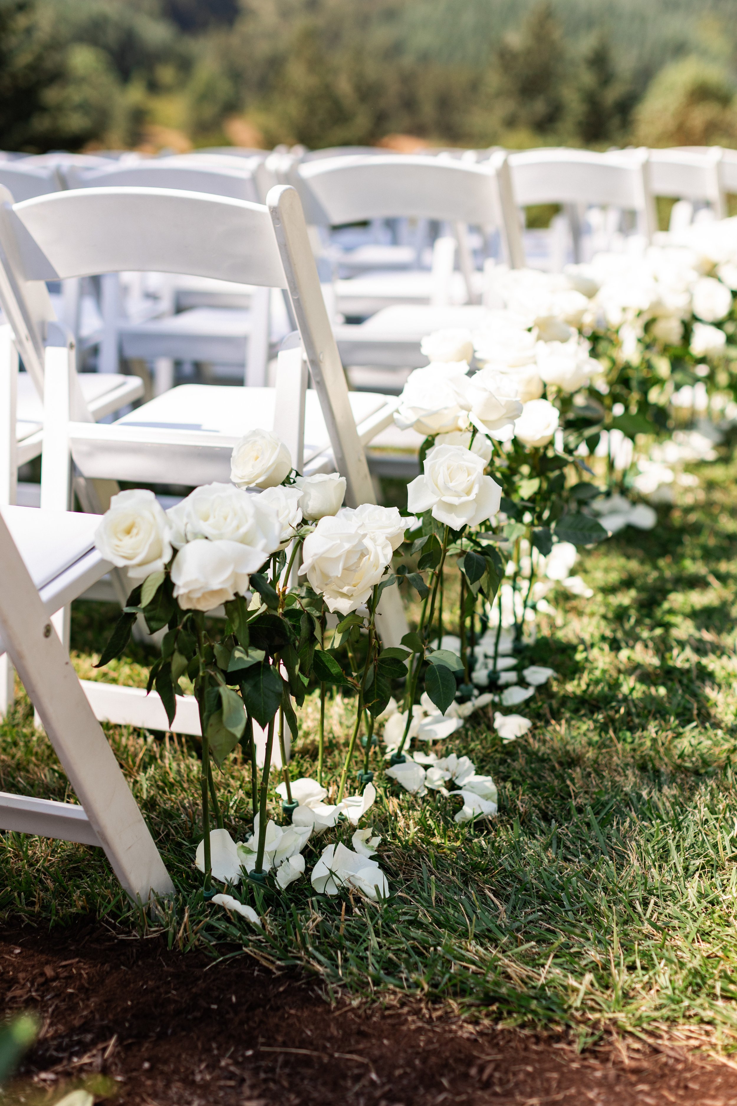 Eugene Oregon- Amanda Meg Photography-328.jpg