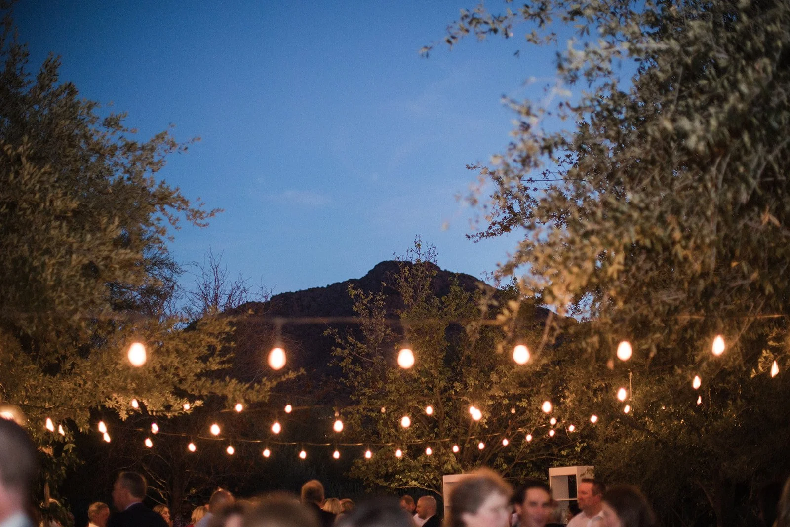 Amanda Meg Photography El Chorro Arizona Wedding-197.jpg