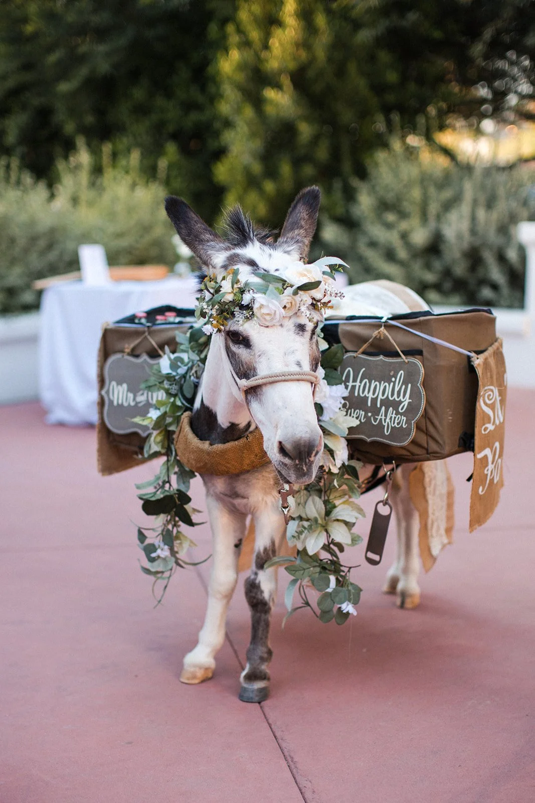 Amanda Meg Photography El Chorro Arizona Wedding-163.jpg