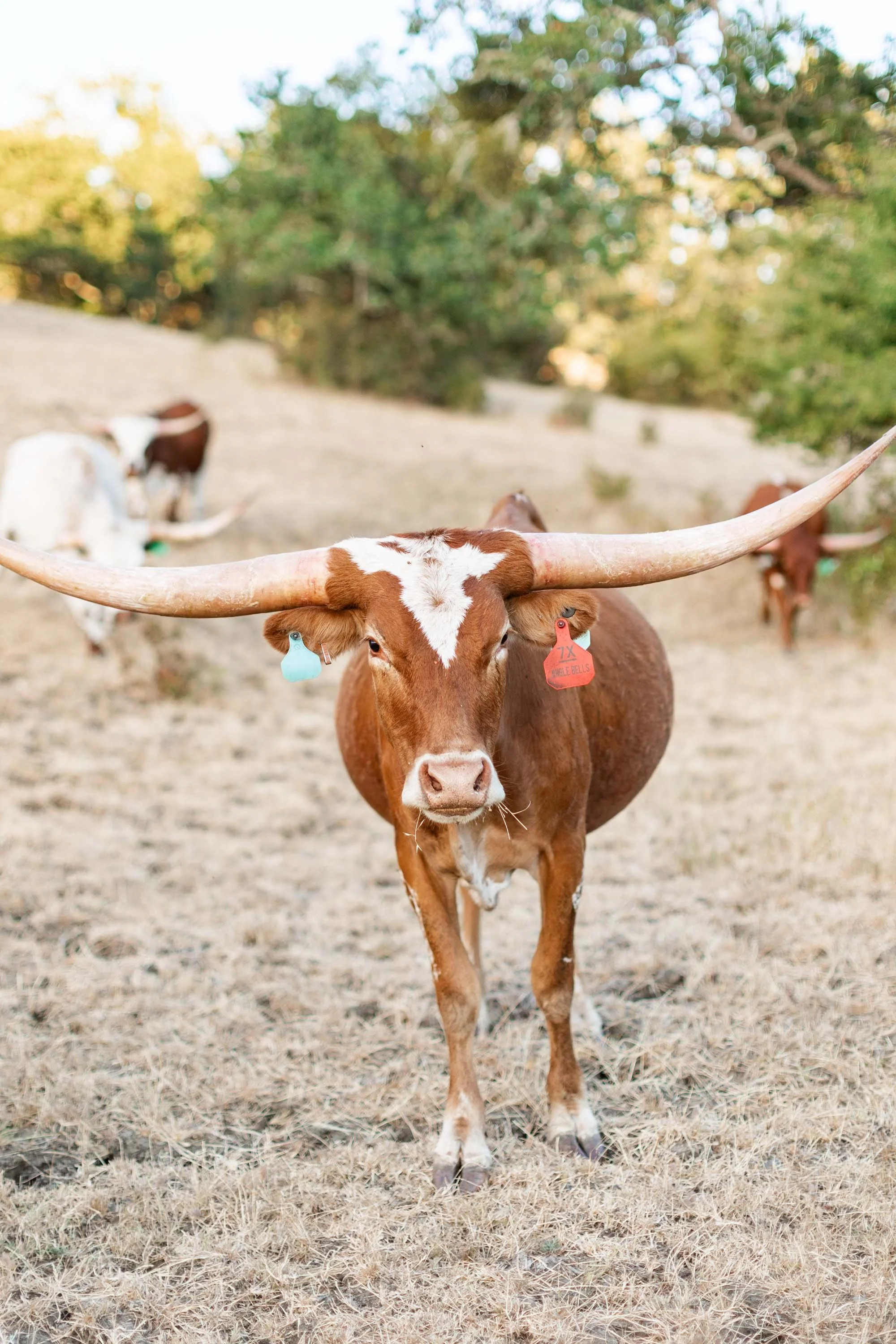 Florence Oregon- Amanda Meg Photography-198.jpg