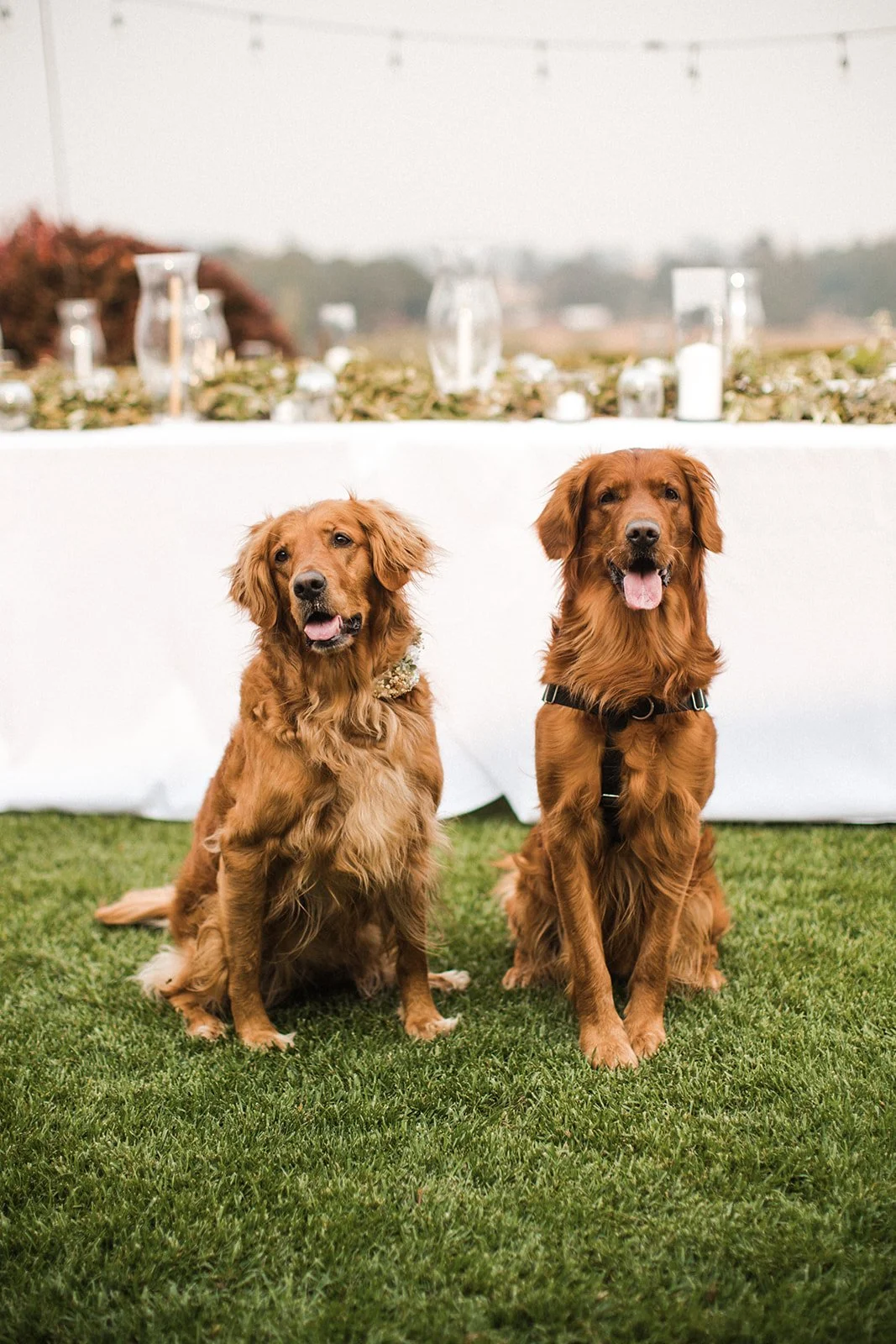 Amanda Meg Photography Five Fourteen Vineyards Wedding-63.jpg