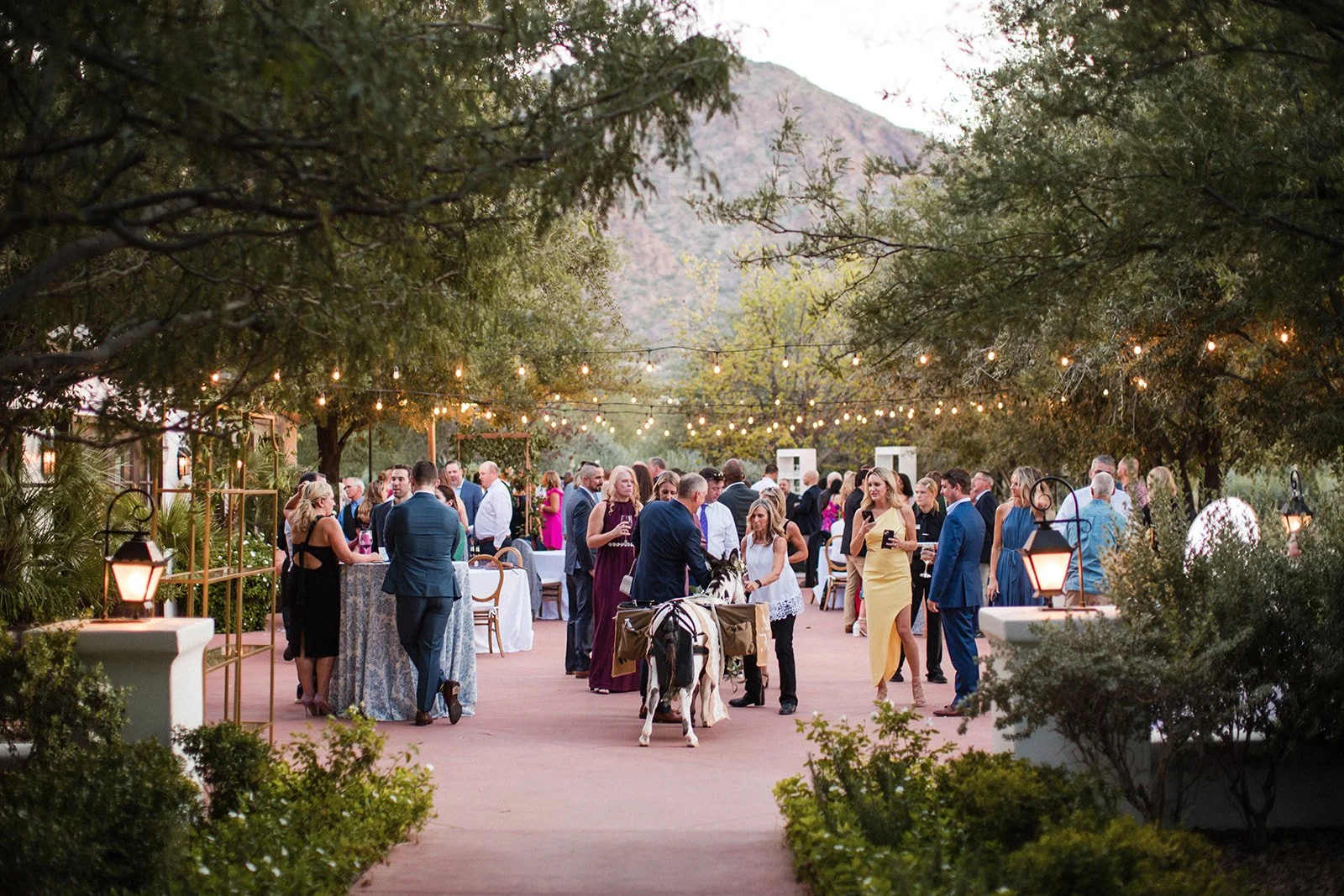 Amanda Meg Photography El Chorro Arizona Wedding-191.jpg
