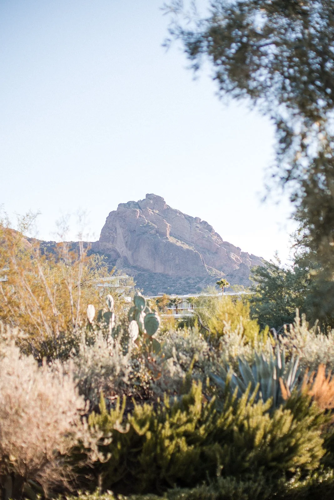 Amanda Meg Photography El Chorro Arizona Wedding-110.jpg