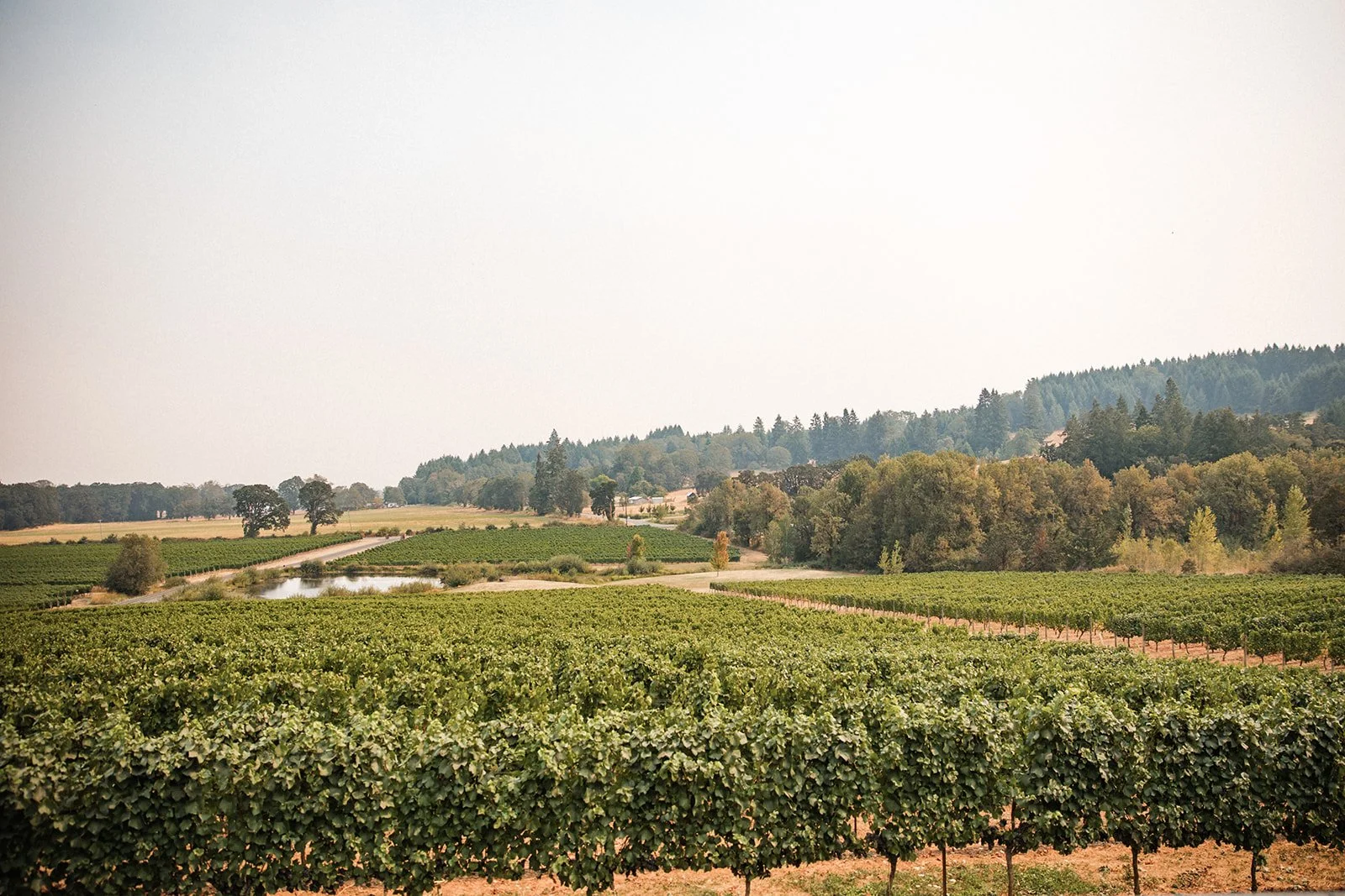 Amanda Meg Photography Five Fourteen Vineyards Wedding-12.jpg