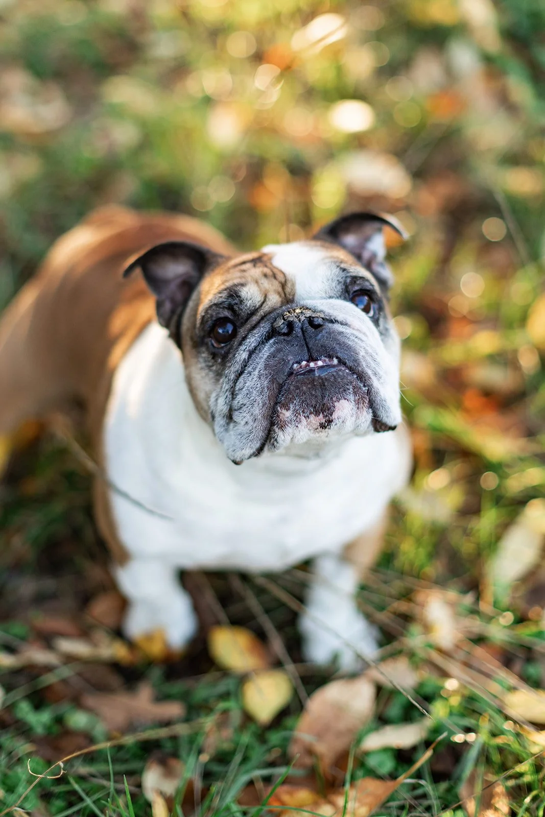 Doris Ranch Springfield Oregon- Amanda Meg Photography-8.jpg