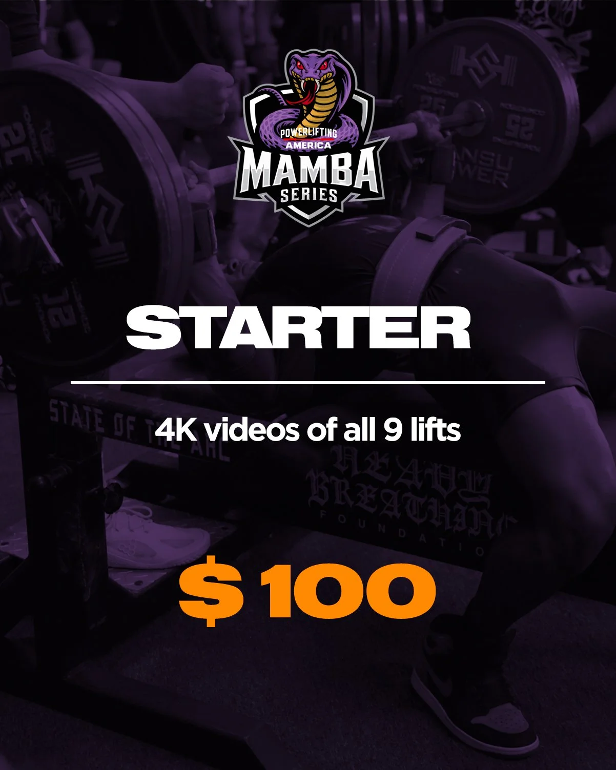 Mamba Series · Starter