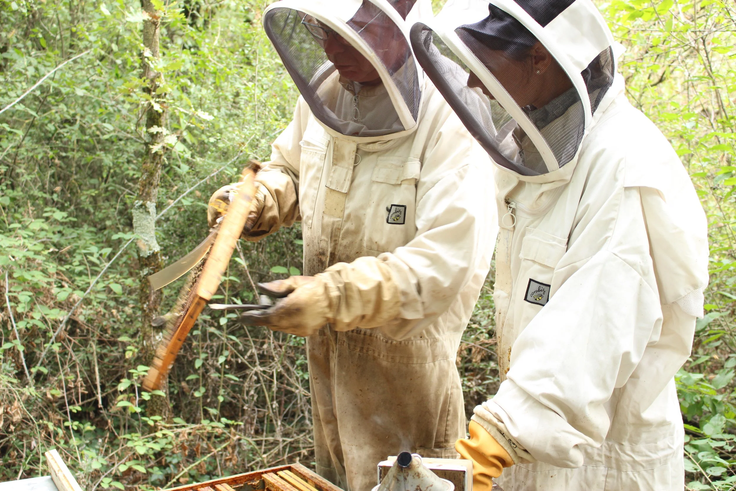 Moment en famille dans le rucher, récolte de miel artisanal de la Drôme