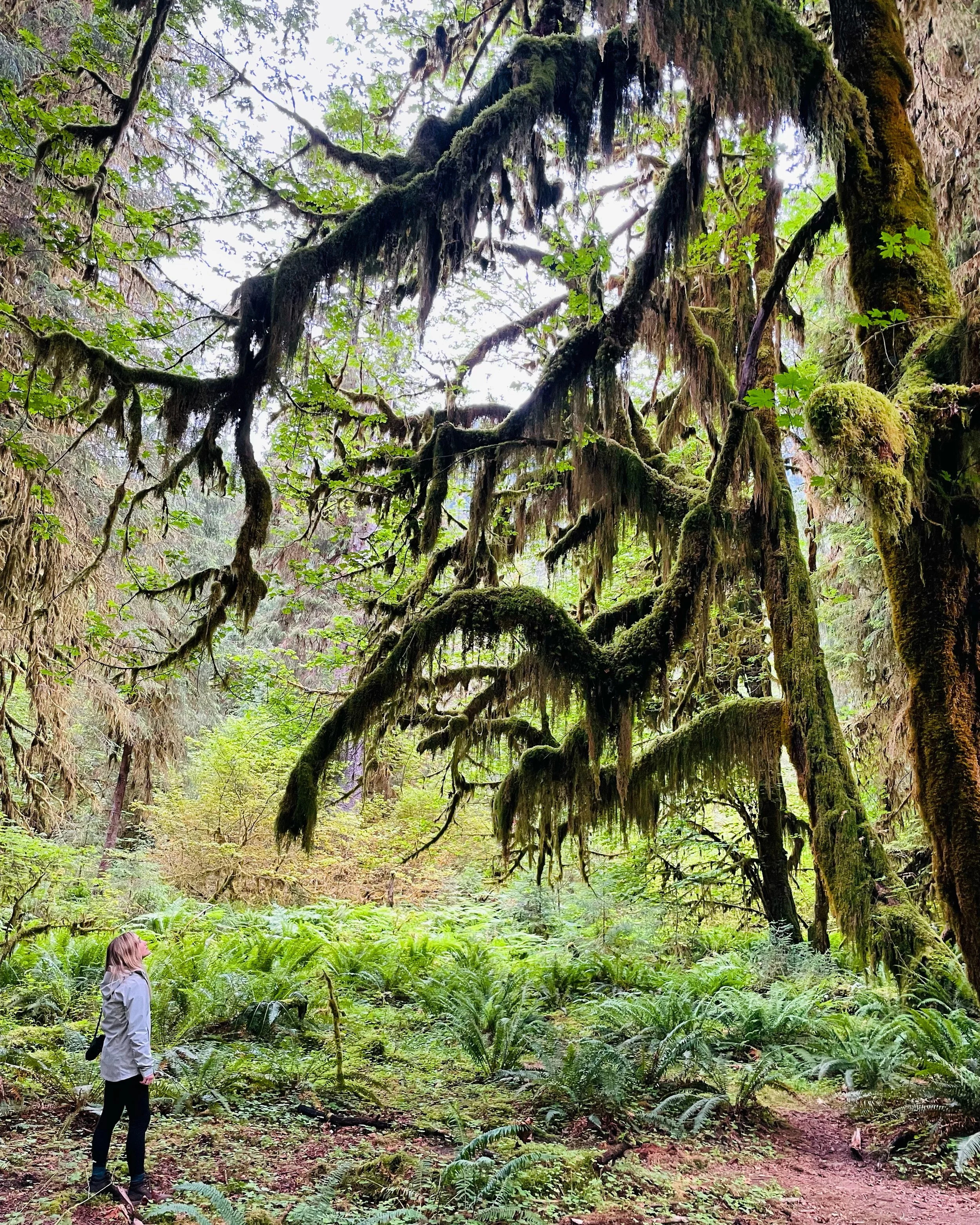 Olympic National Park