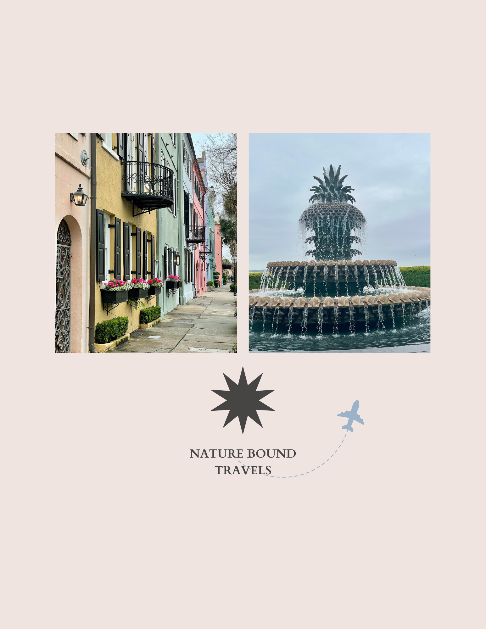 Charleston website .png