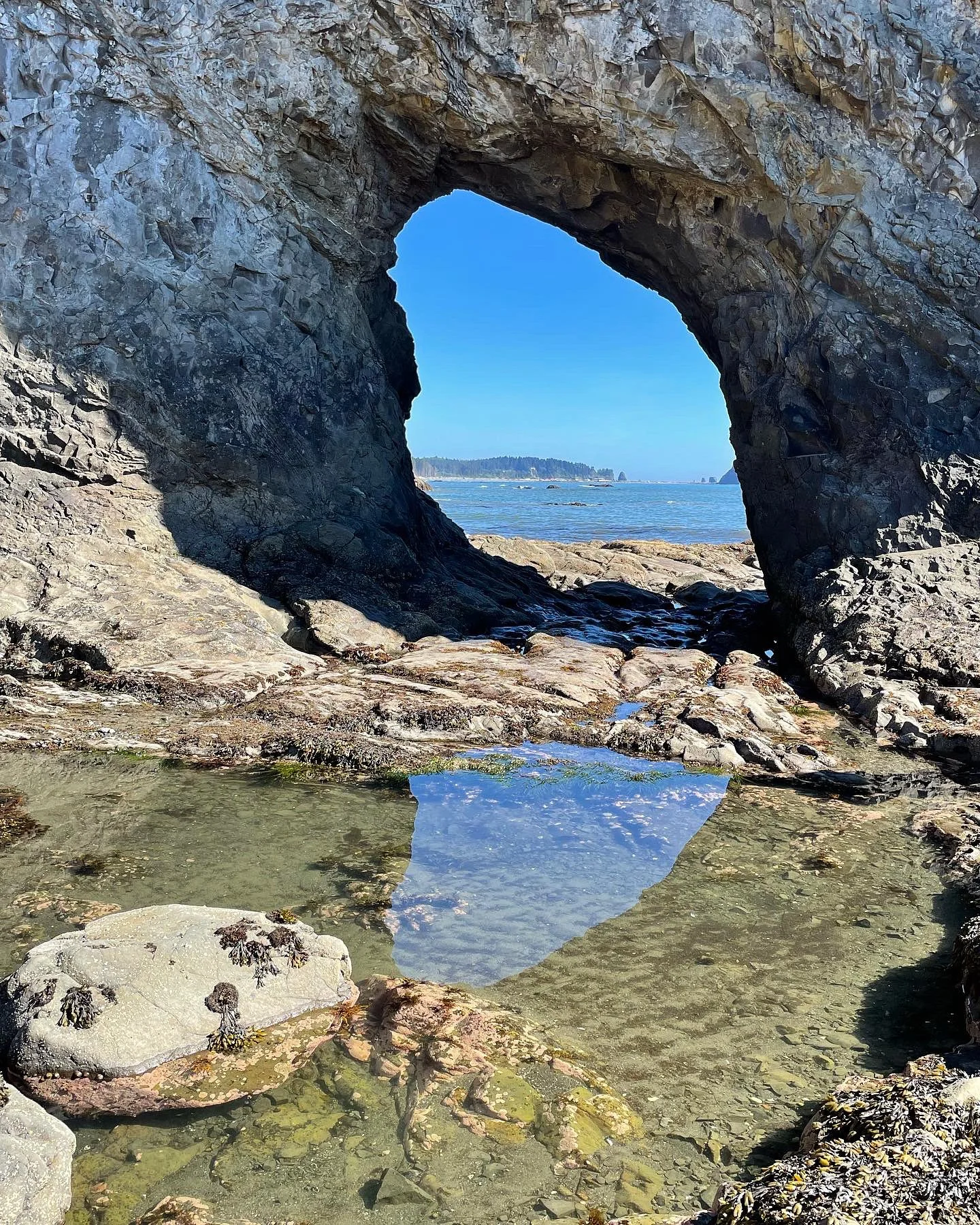 Olympic National Park