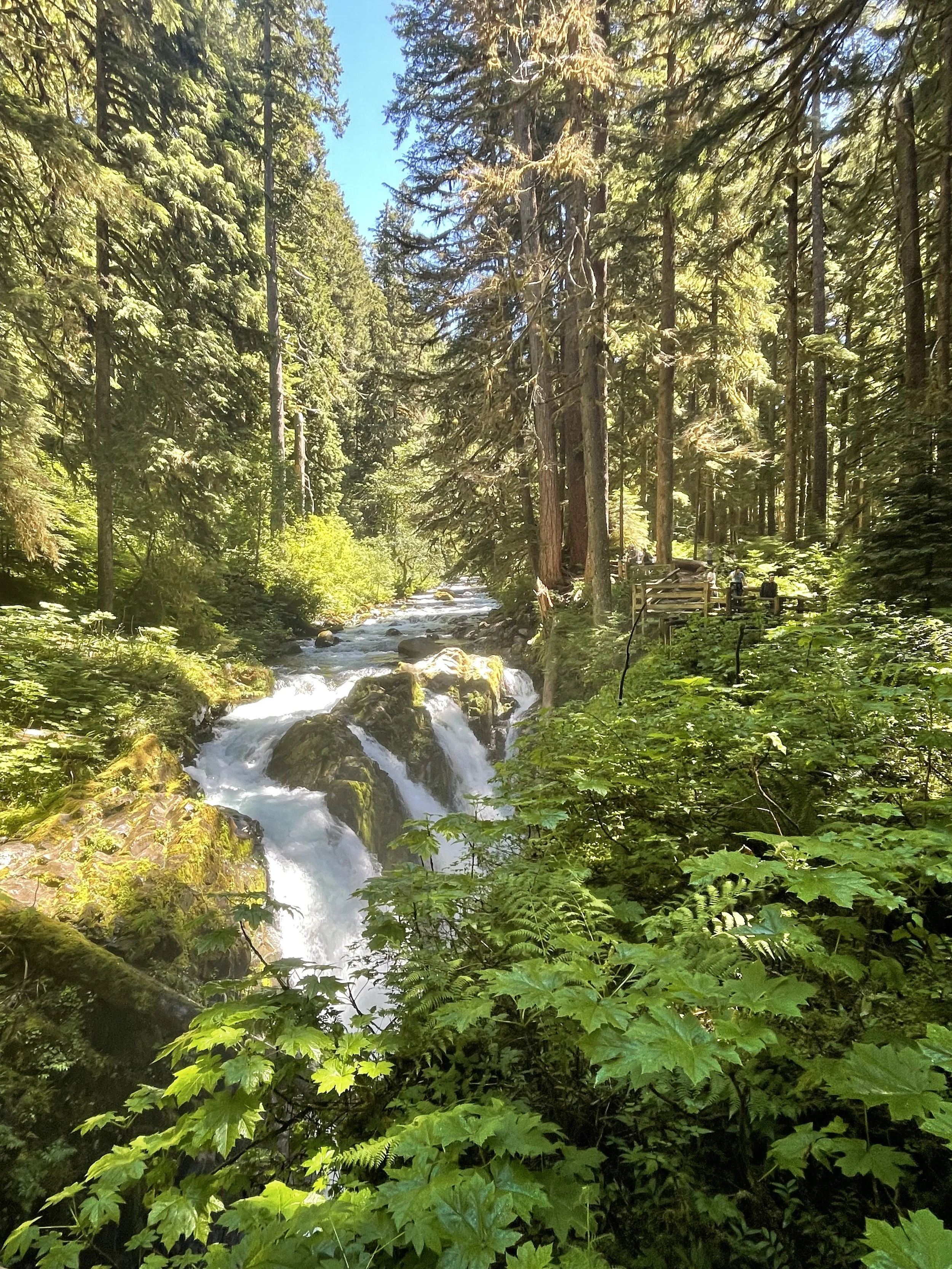 Olympic National Park