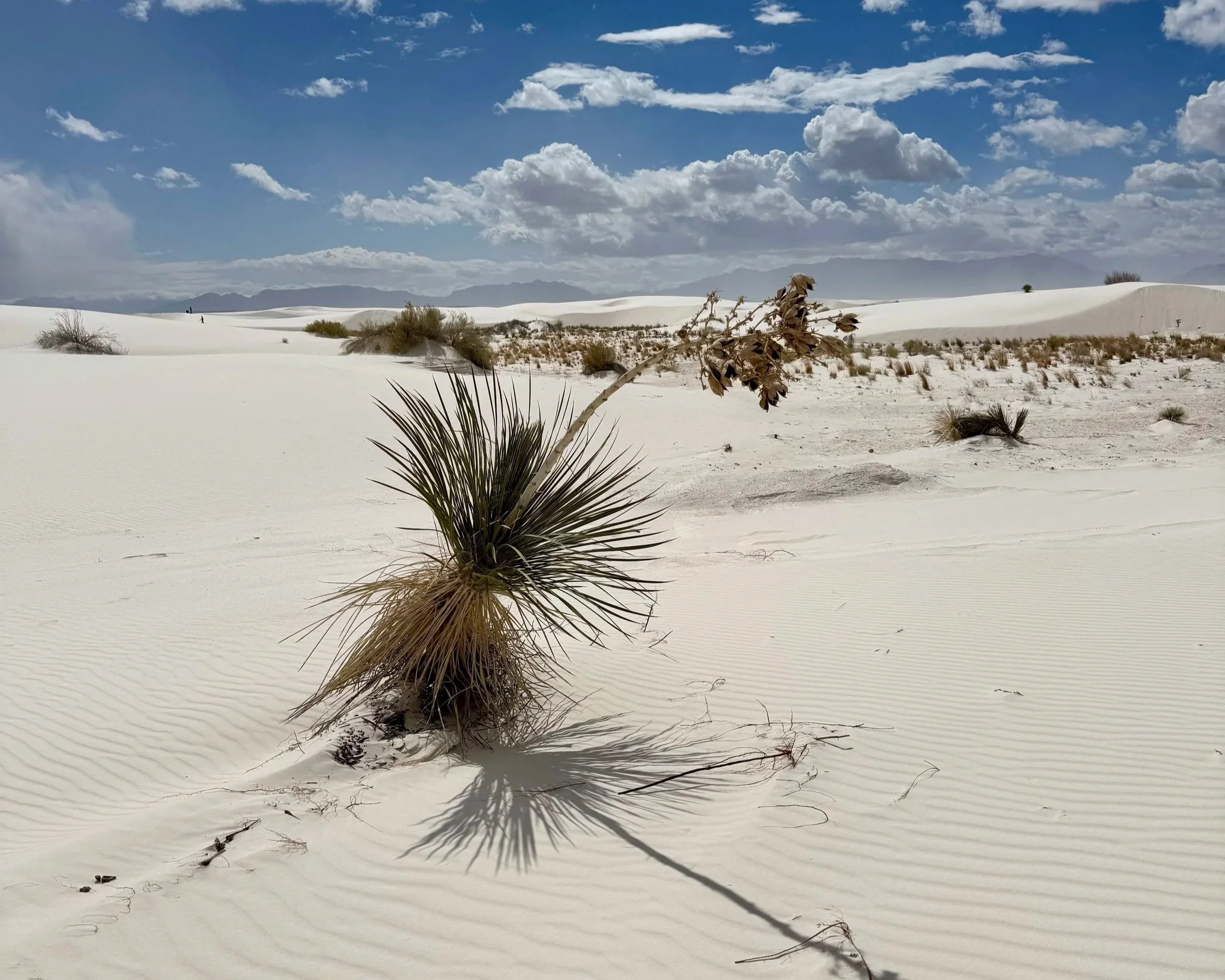 White Sands National Park