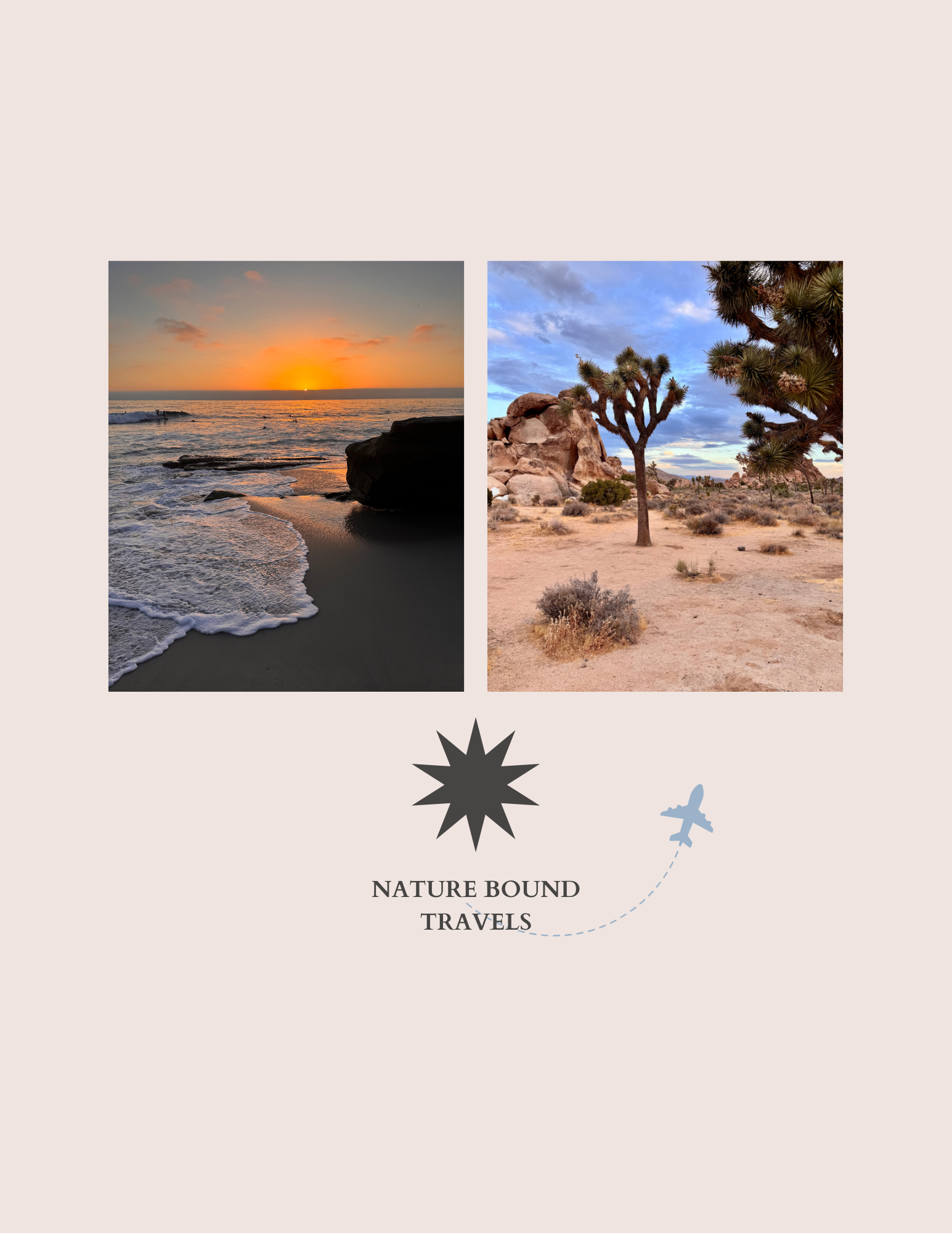 SoCal Website Page.png