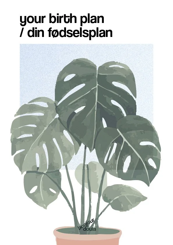 your birth plan / din fødselsplan - a detailed and practical guide