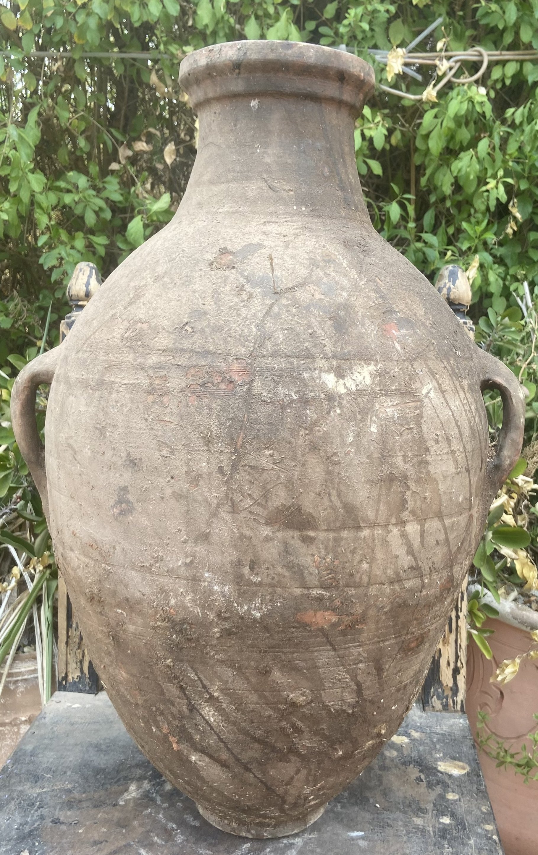 P03- 62CM.jpeg
