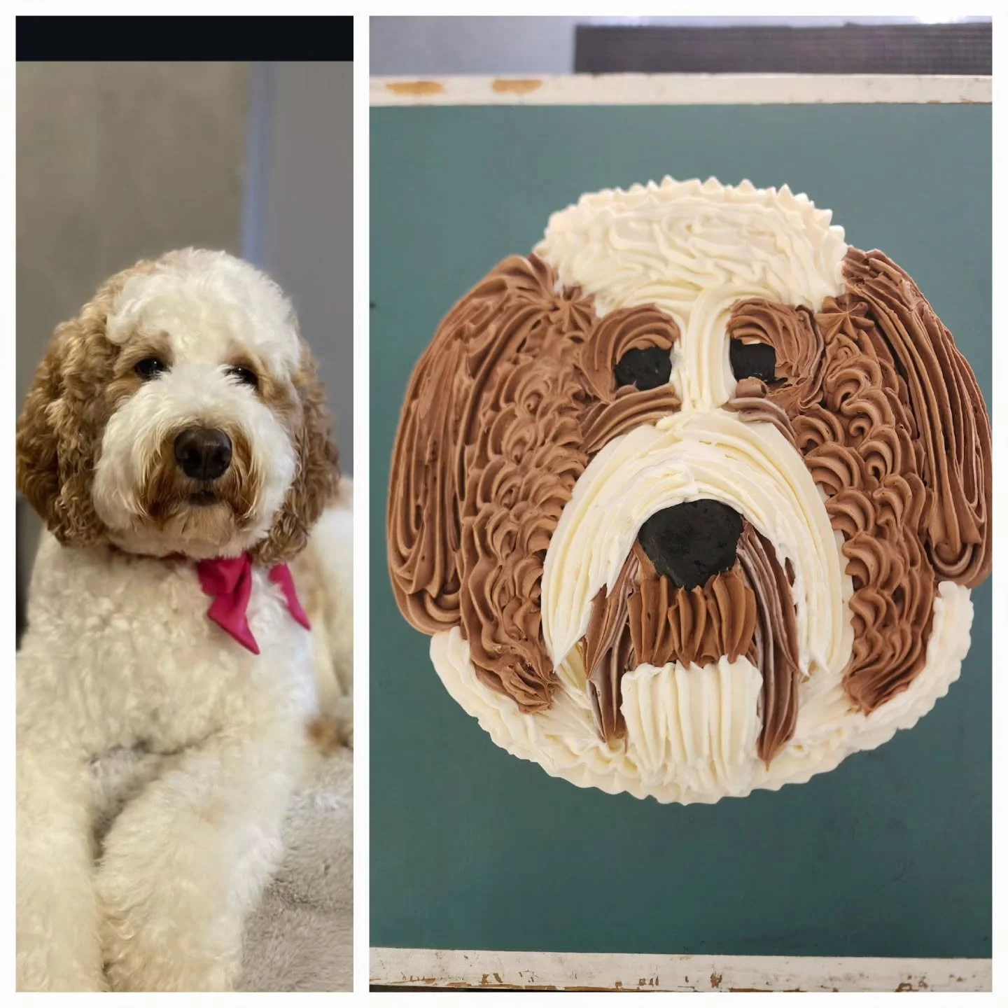 😊 what a handsome guy