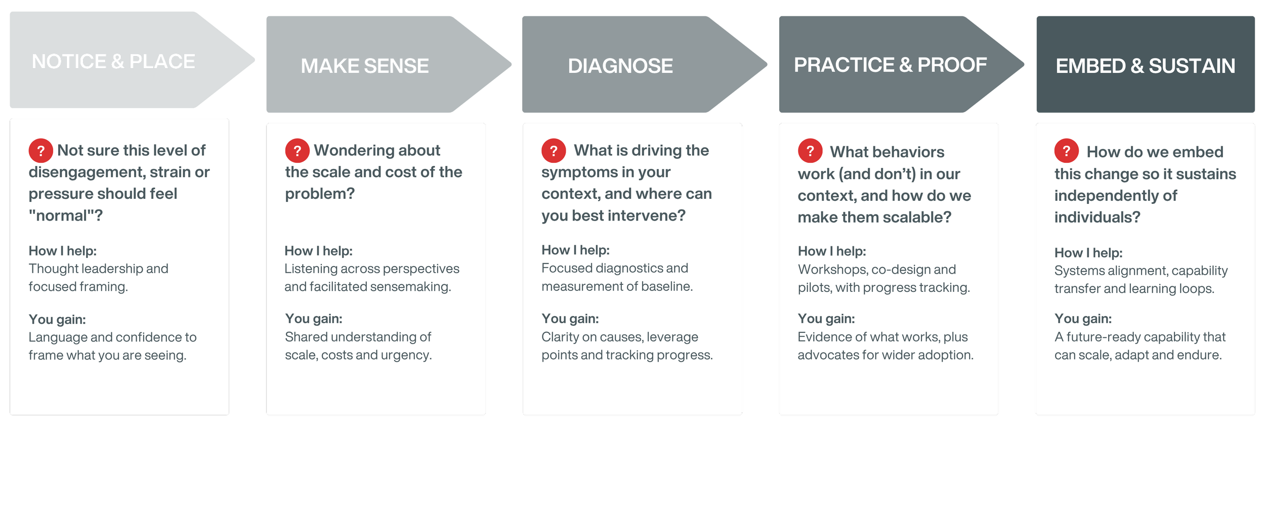 A flowchart titled 'Notice & Place' with five sections: 'Make Sense,' 'Diagnose,' 'Practice & Proof,' and 'Embed & Sustain.' Each section contains questions, explanations on how assistance is provided, and the benefits gained.