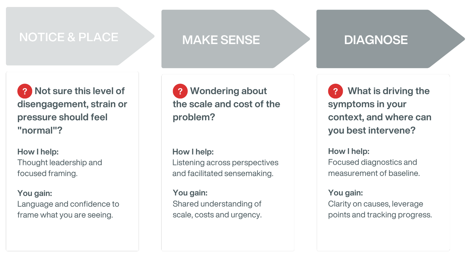 Flowchart with three sections labeled Notice & Place, Make Sense, Diagnose, each containing guidance for assessment and intervention.
