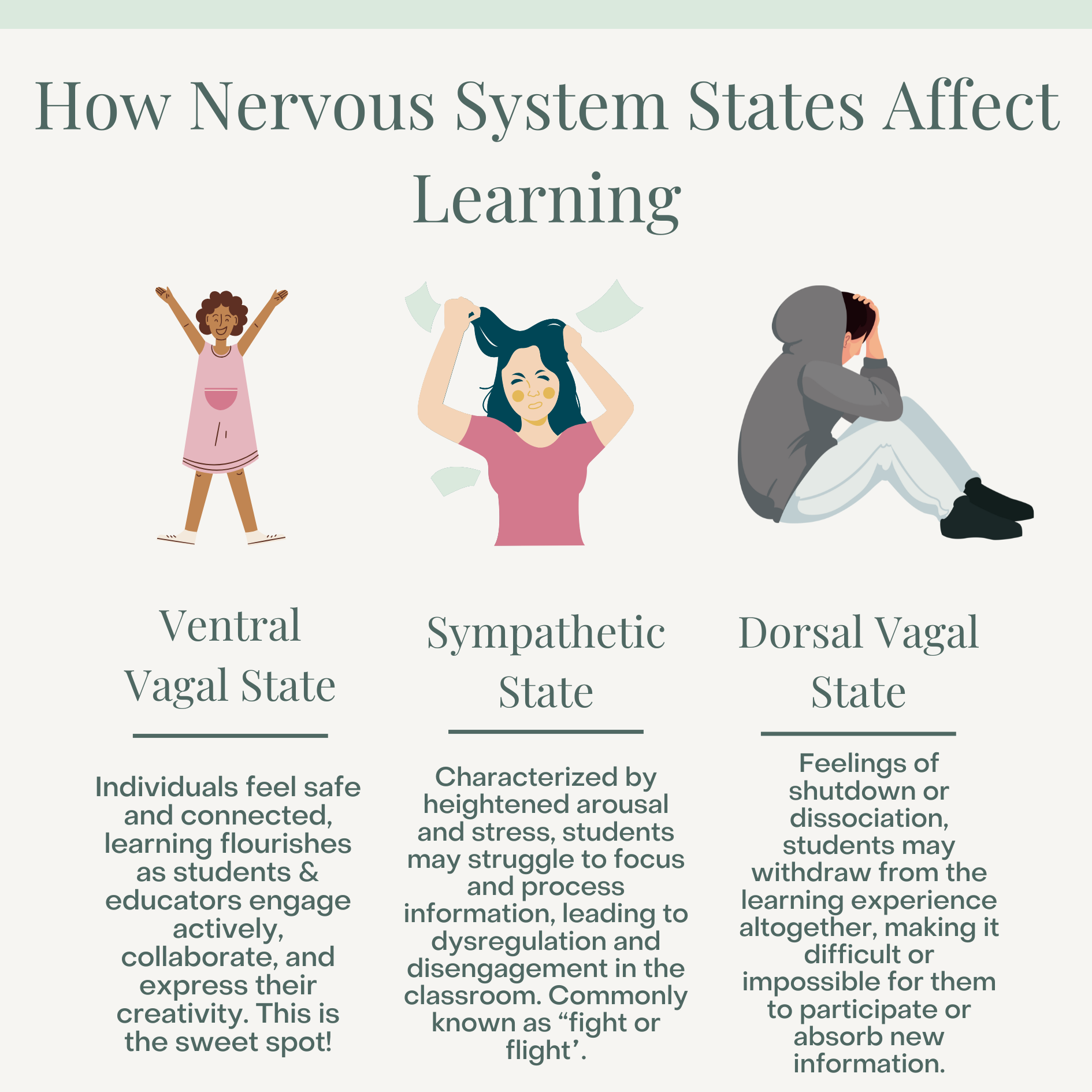 How Nervous System States Effect Learning-5.png