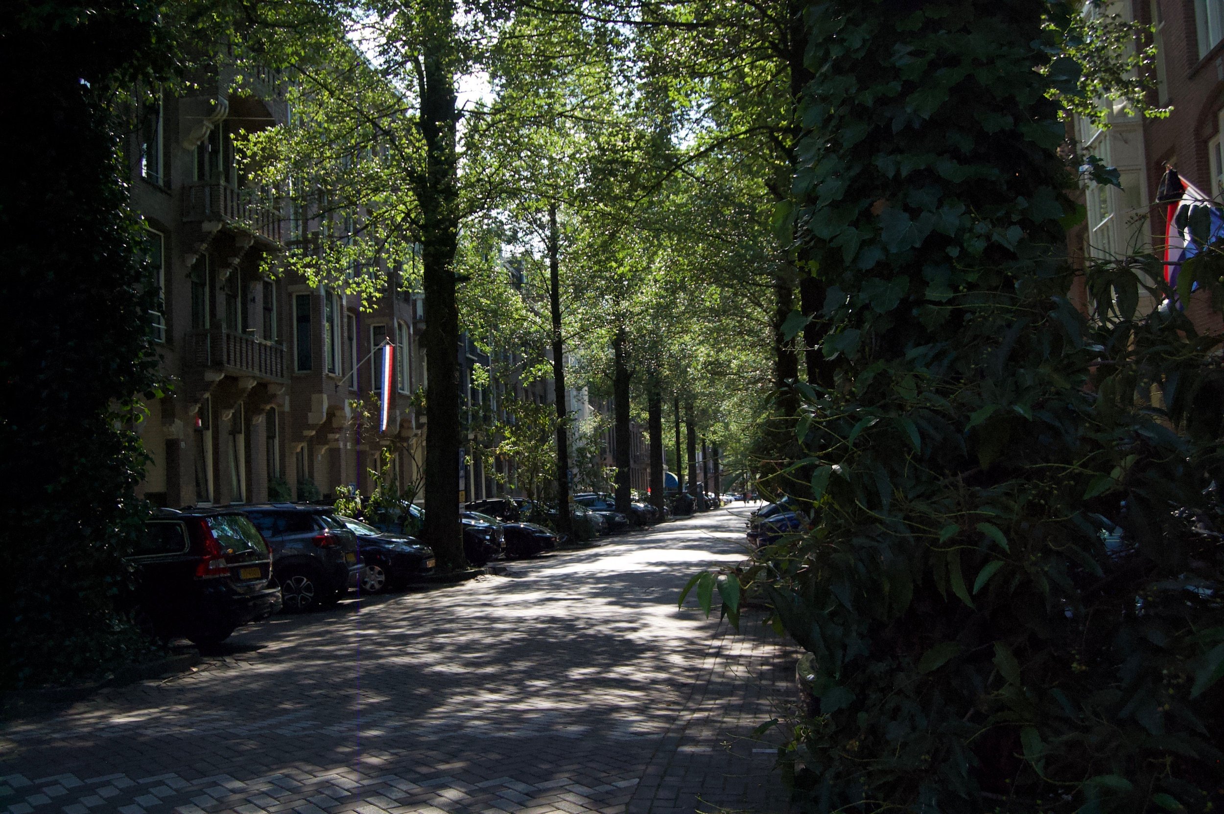 Do you need a car as a family in Amsterdam?
