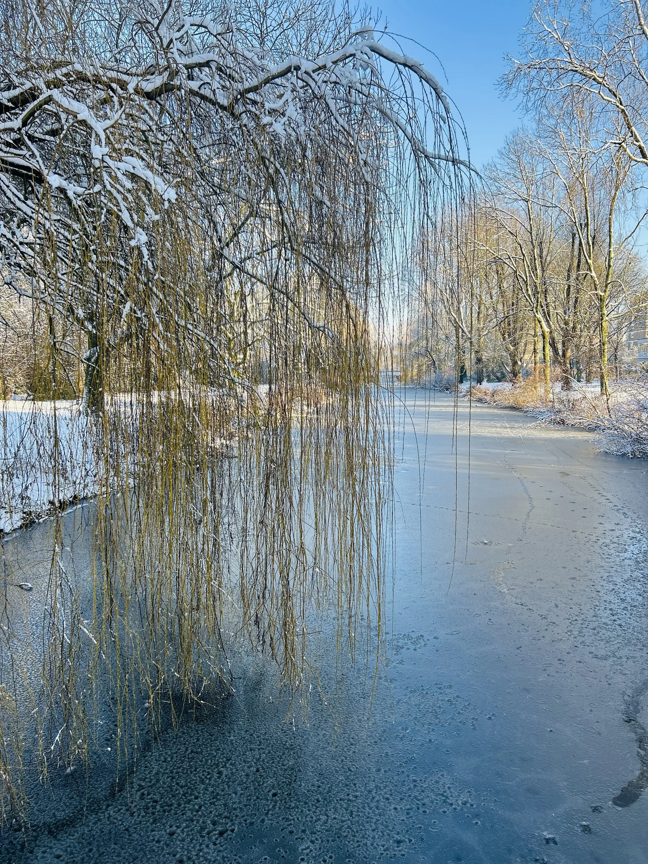 The Late-Winter Survival Guide: Beating the Grey the Dutch Way