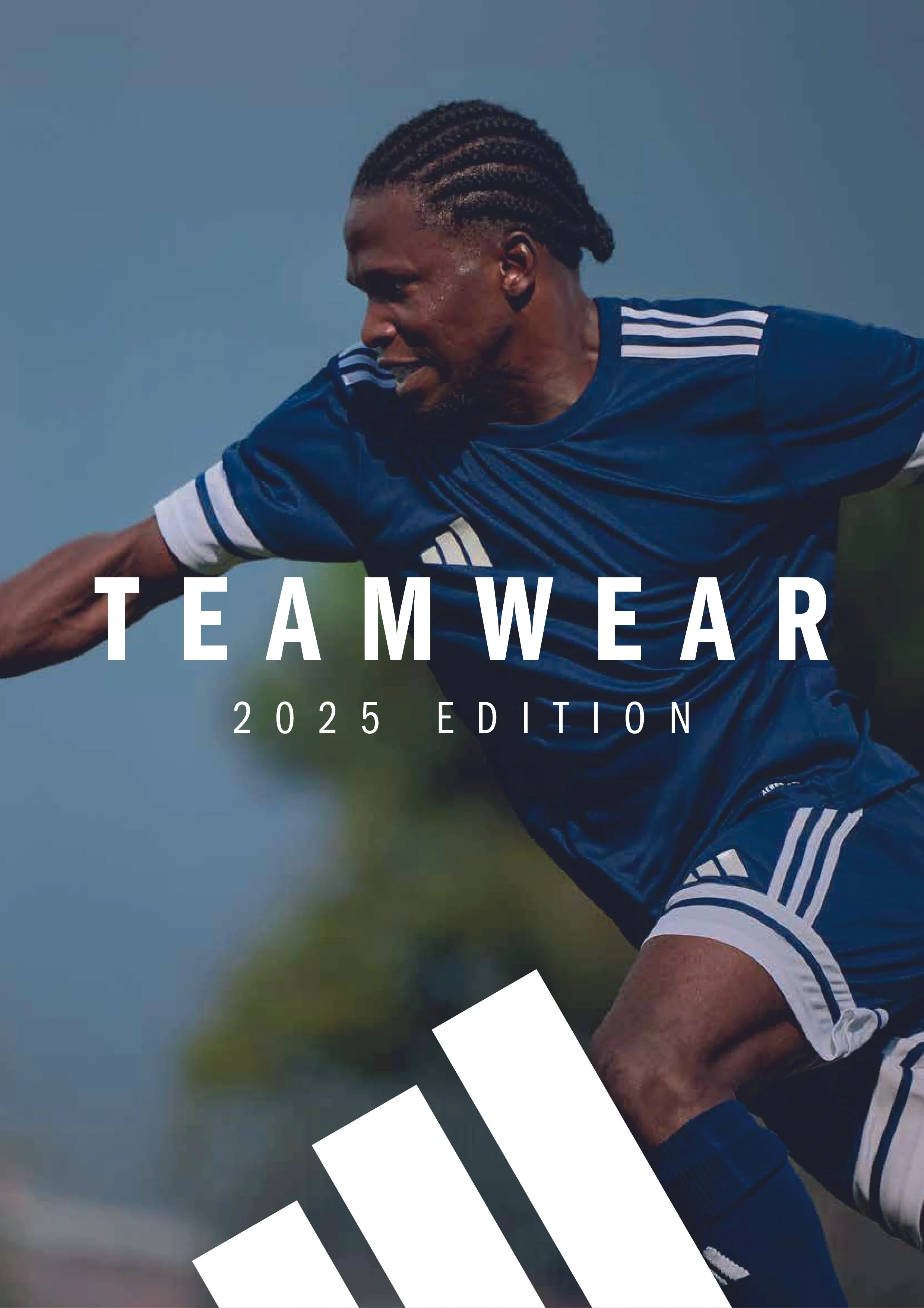 ADIDAS_TW25_FRANCE.jpg