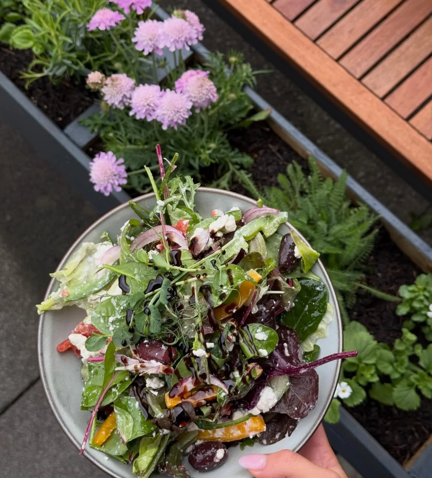 Sunny days are for salads in the sun🥗☀️🤍

Served from 12 every day - available to take away✨